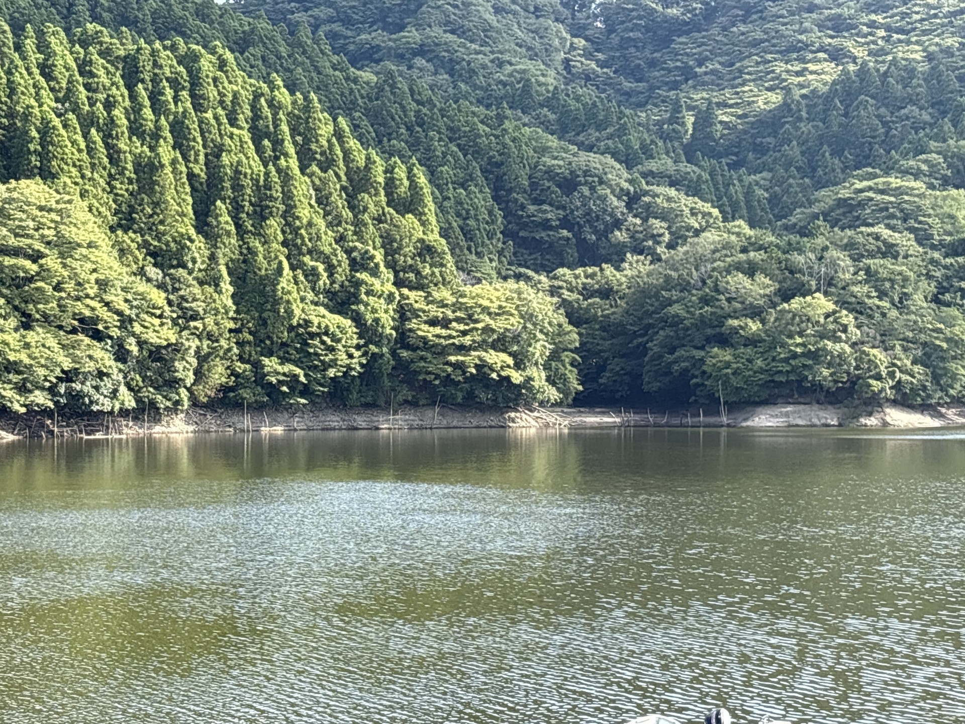 戸面原ダム 戸面原ダムボートセンターの2025年8月17日のイメージ