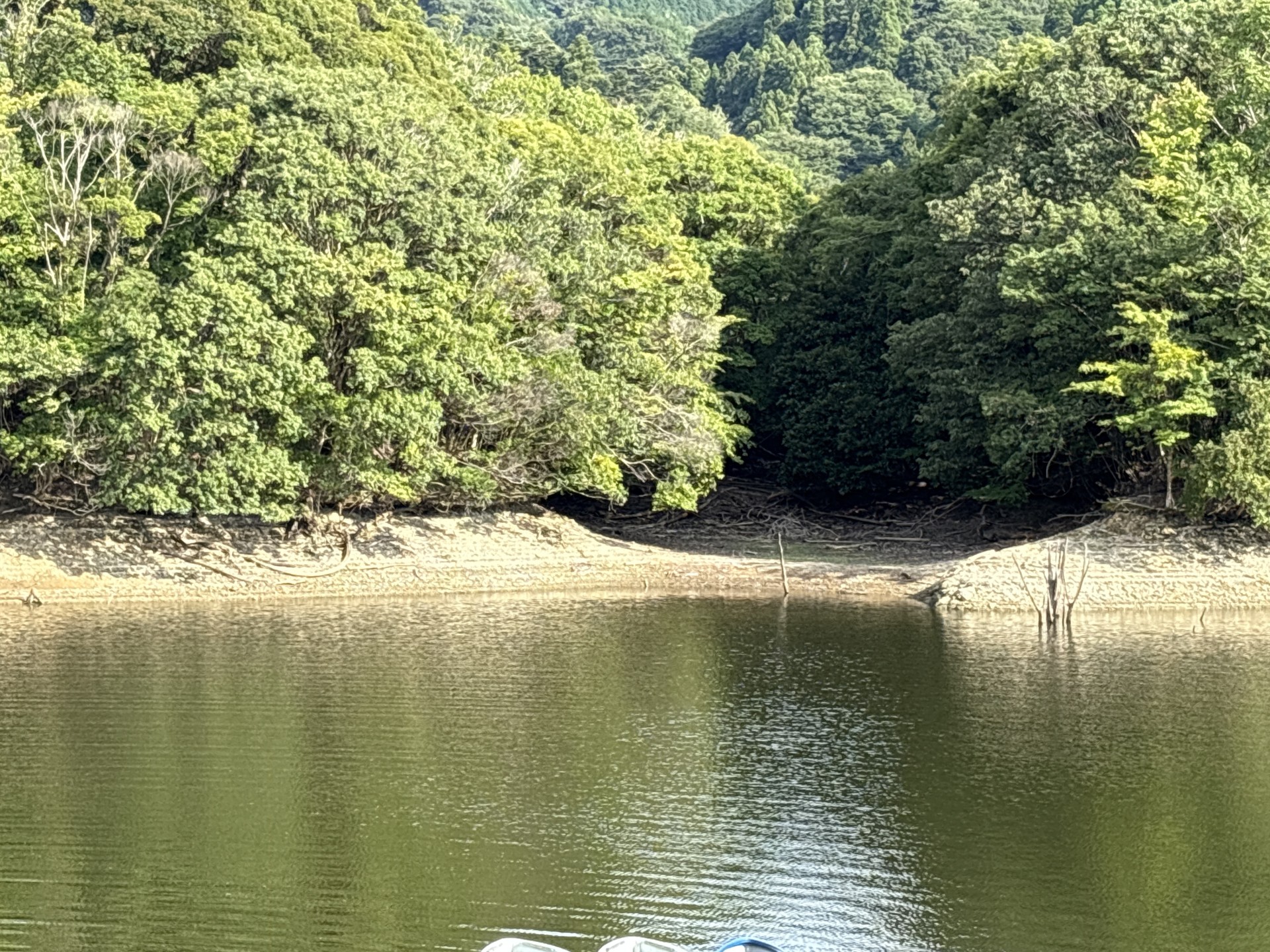 戸面原ダム 戸面原ダムボートセンターの2025年8月9日のイメージ