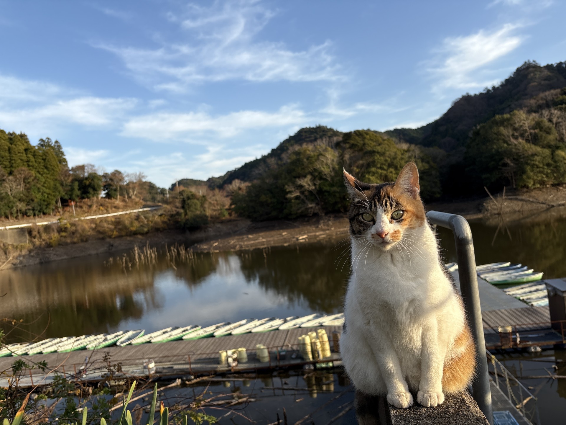 戸面原ダム 戸面原ダムボートセンターの2025年12月23日のイメージ