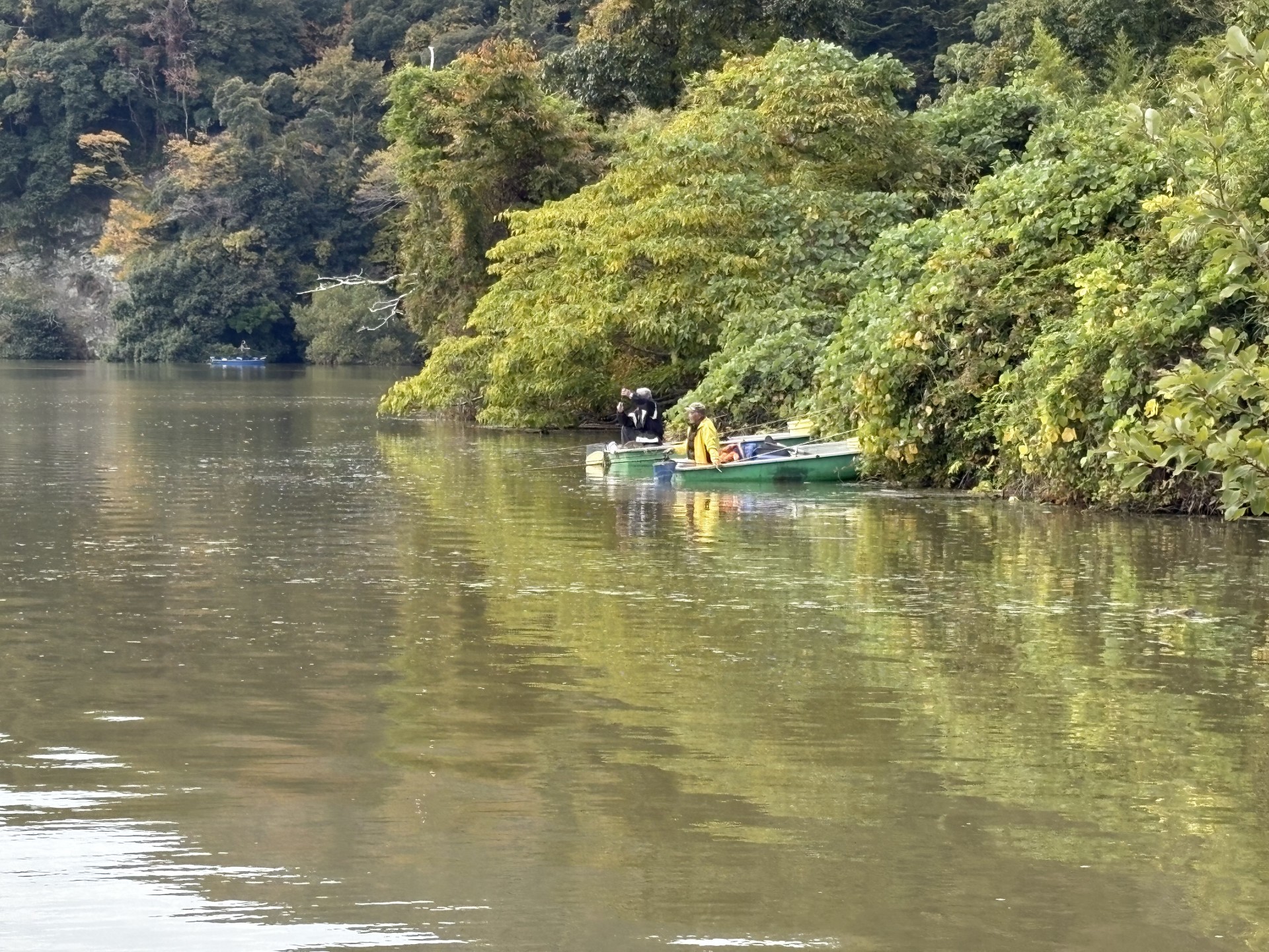 戸面原ダム 戸面原ダムボートセンターの2025年11月16日のイメージ