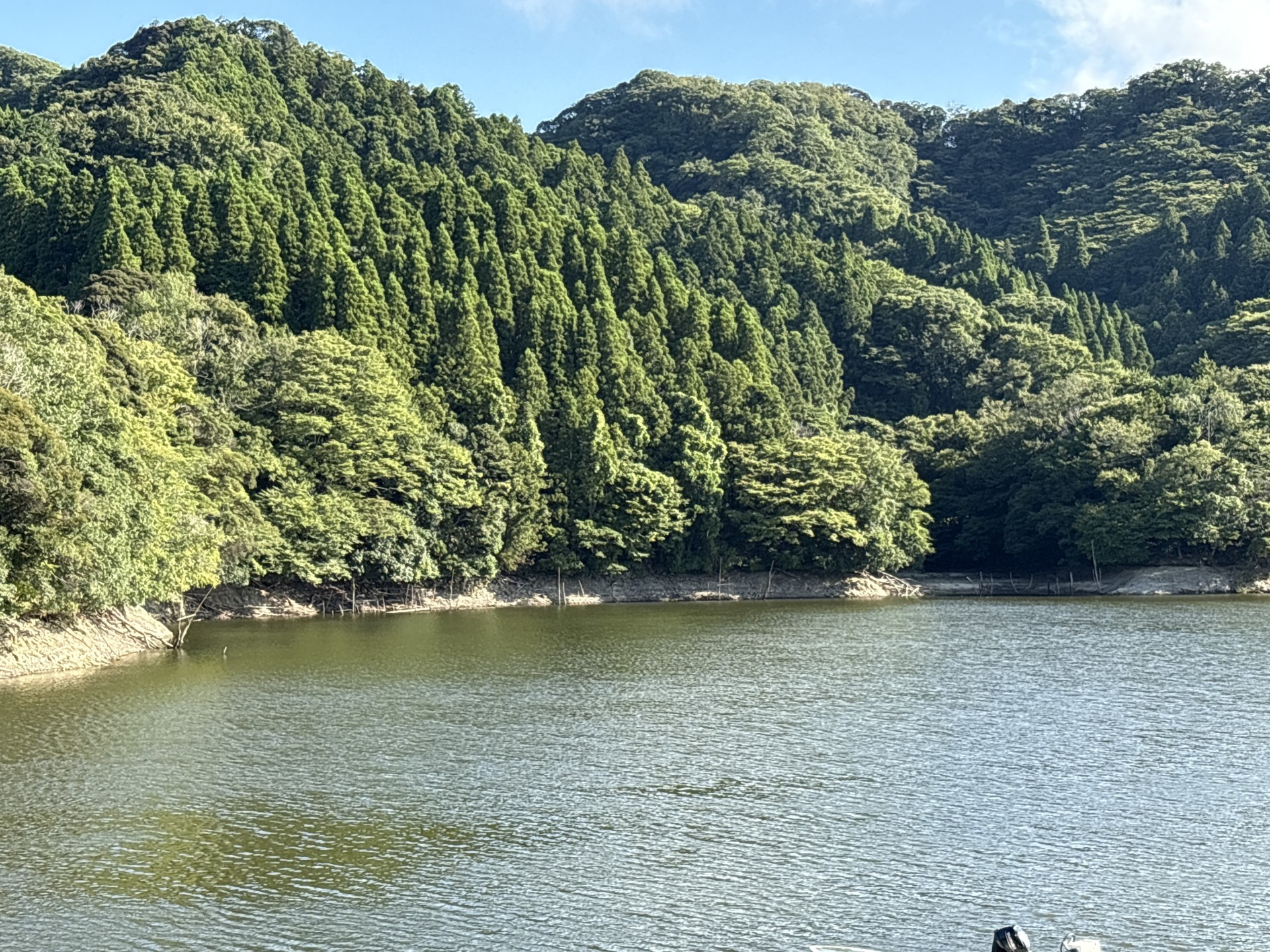 戸面原ダム 戸面原ダムボートセンターの2025年8月20日のイメージ