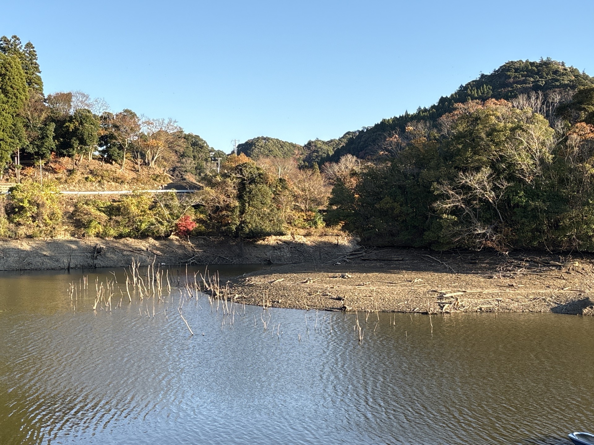 戸面原ダム 戸面原ダムボートセンターの2025年12月11日のイメージ