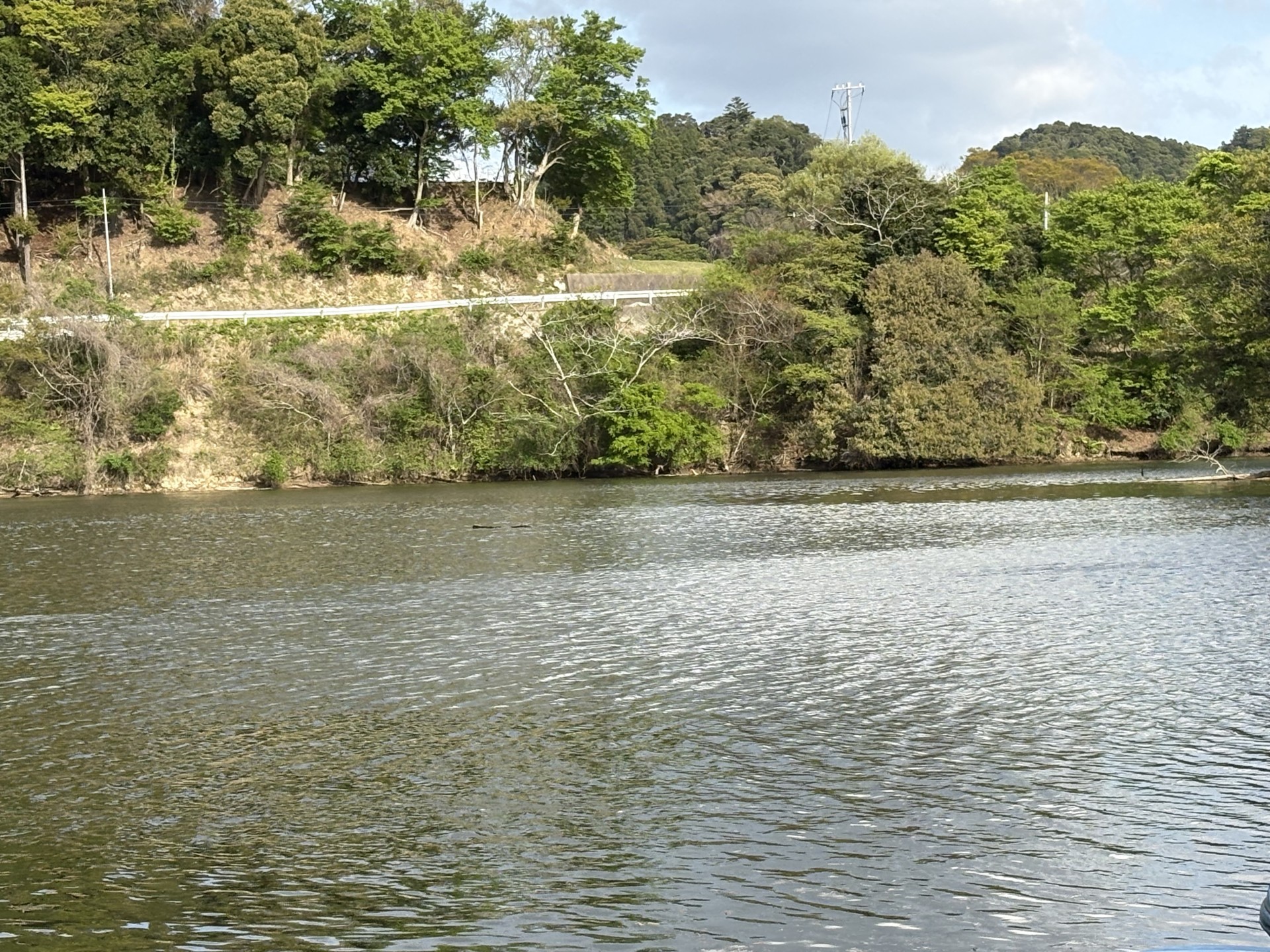 戸面原ダム 戸面原ダムボートセンターの2026年4月14日のイメージ