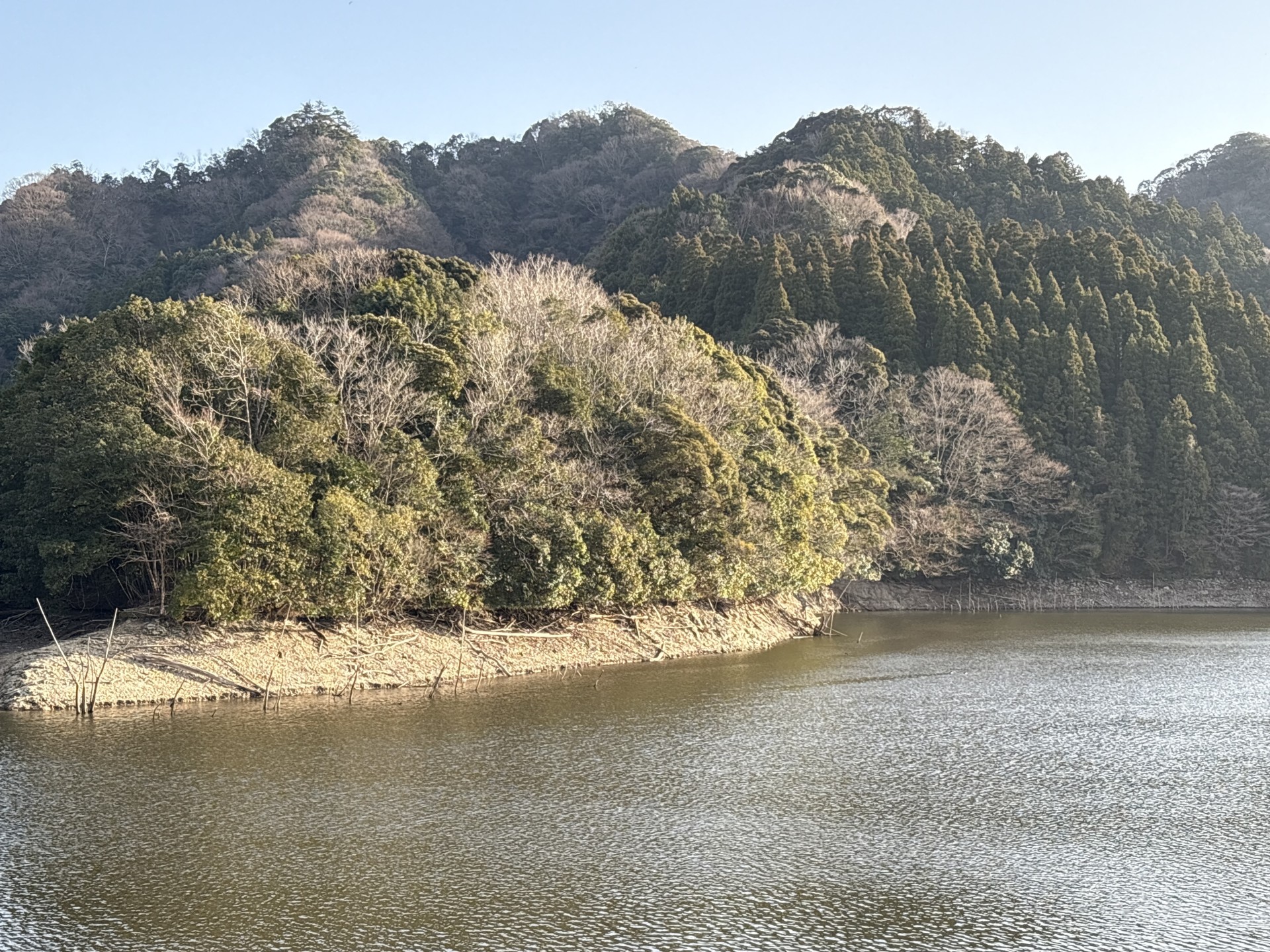 戸面原ダム 戸面原ダムボートセンターの2026年1月19日のイメージ