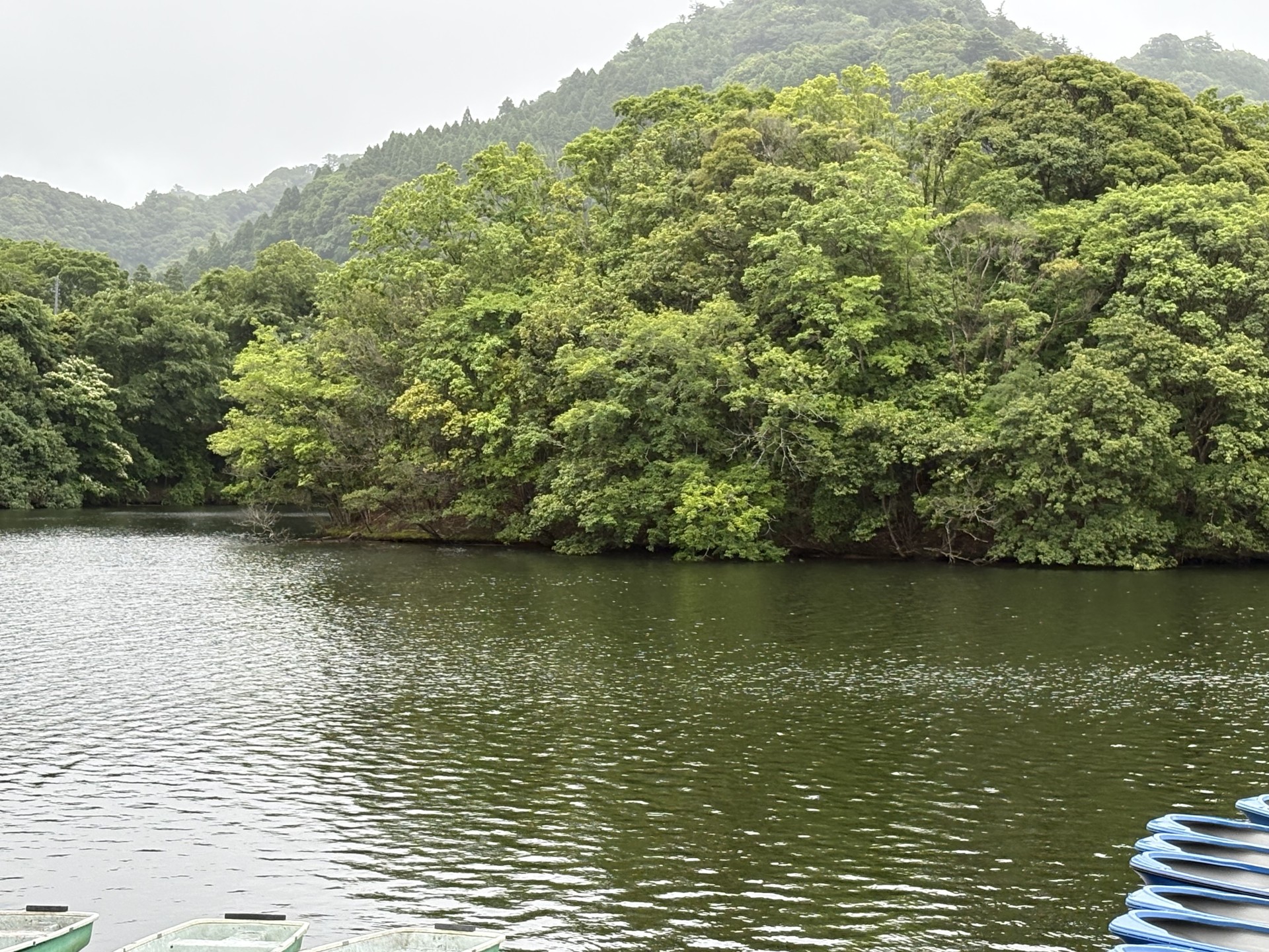 戸面原ダム 戸面原ダムボートセンターの2025年6月11日のイメージ