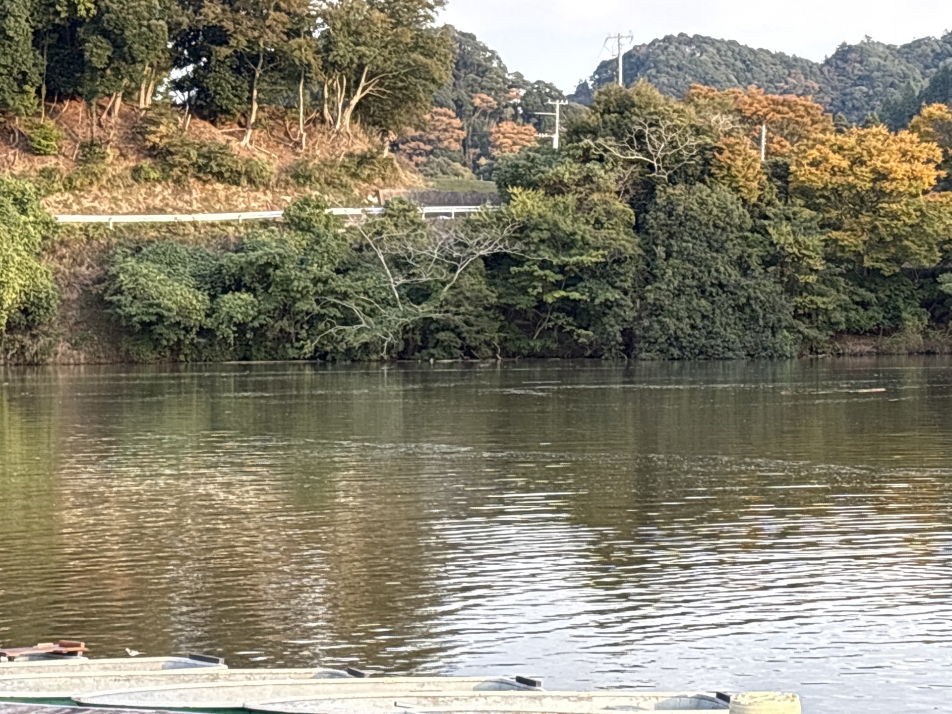 戸面原ダム 戸面原ダムボートセンターの2025年11月7日のイメージ