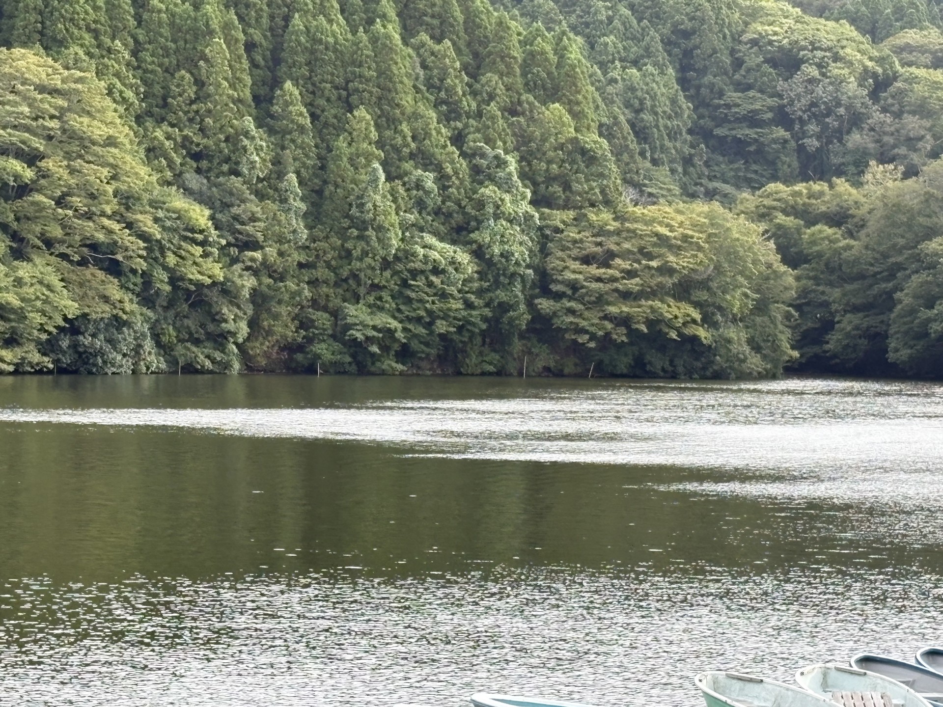 戸面原ダム 戸面原ダムボートセンターの2025年10月9日のイメージ