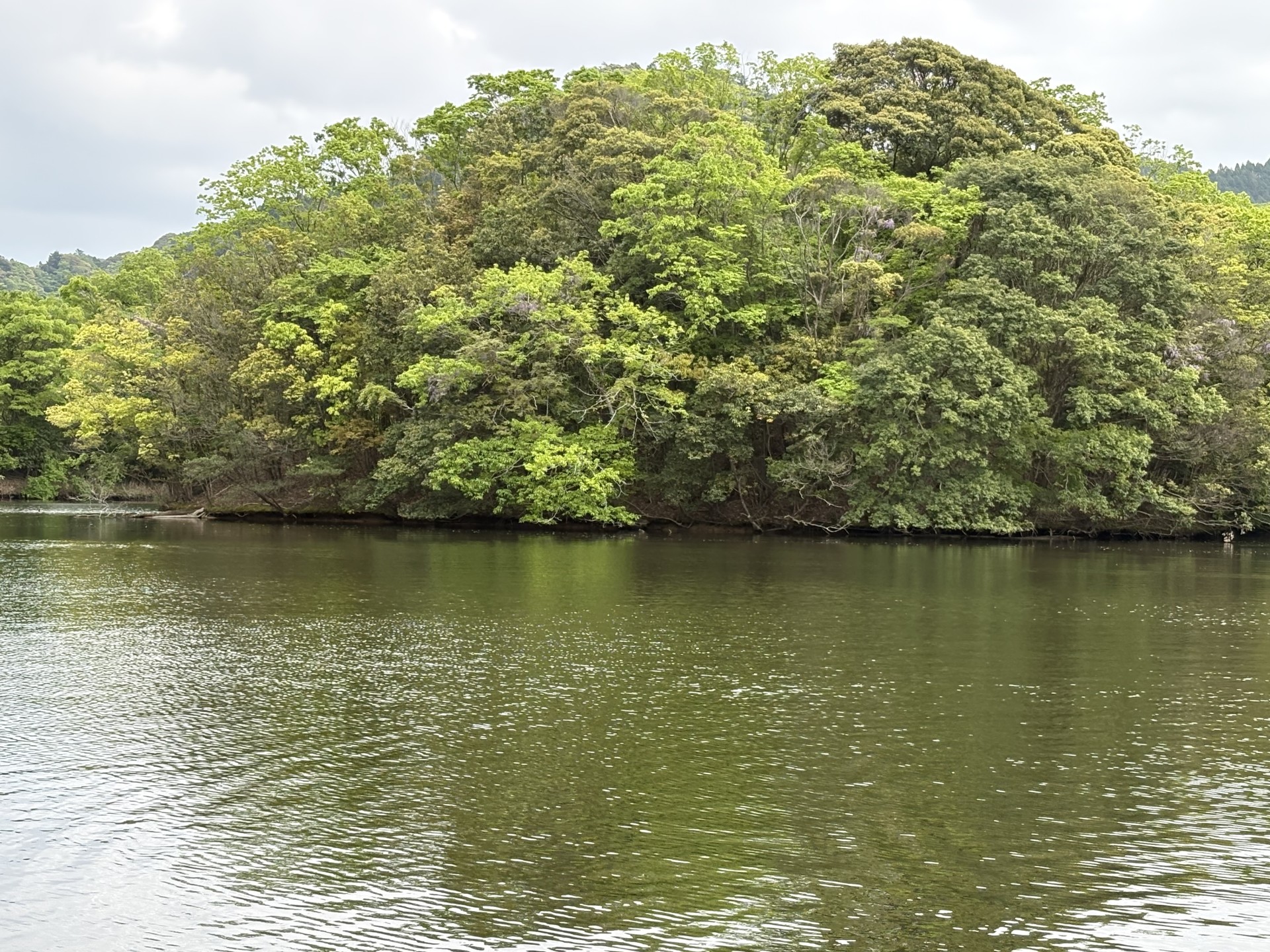 戸面原ダム 戸面原ダムボートセンターの2025年4月26日のイメージ