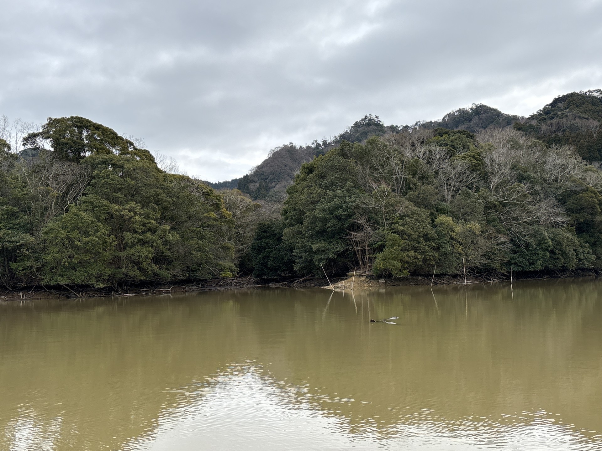 戸面原ダム 戸面原ダムボートセンターの2026年2月27日のイメージ