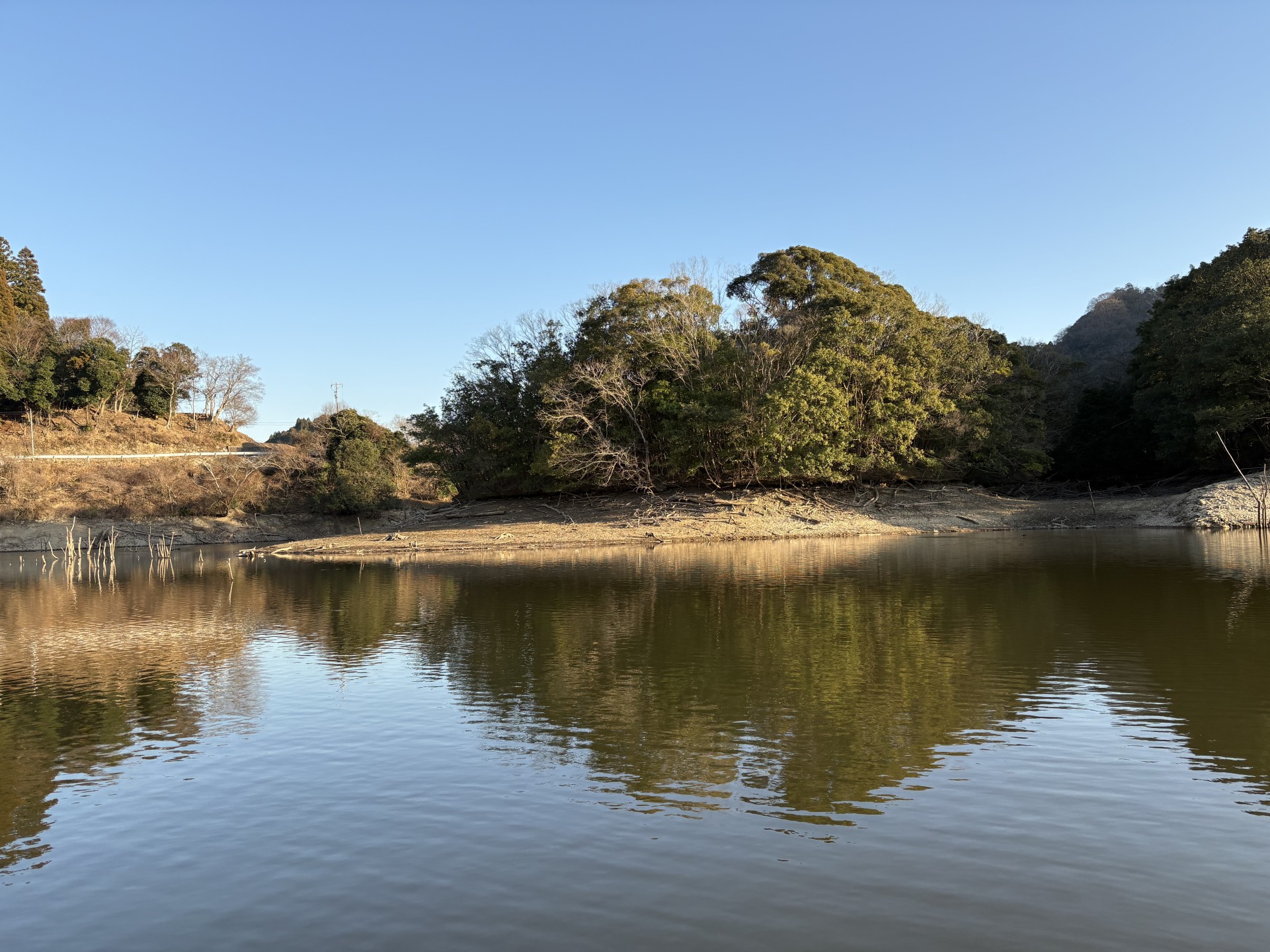 戸面原ダム 戸面原ダムボートセンターの2026年1月16日のイメージ