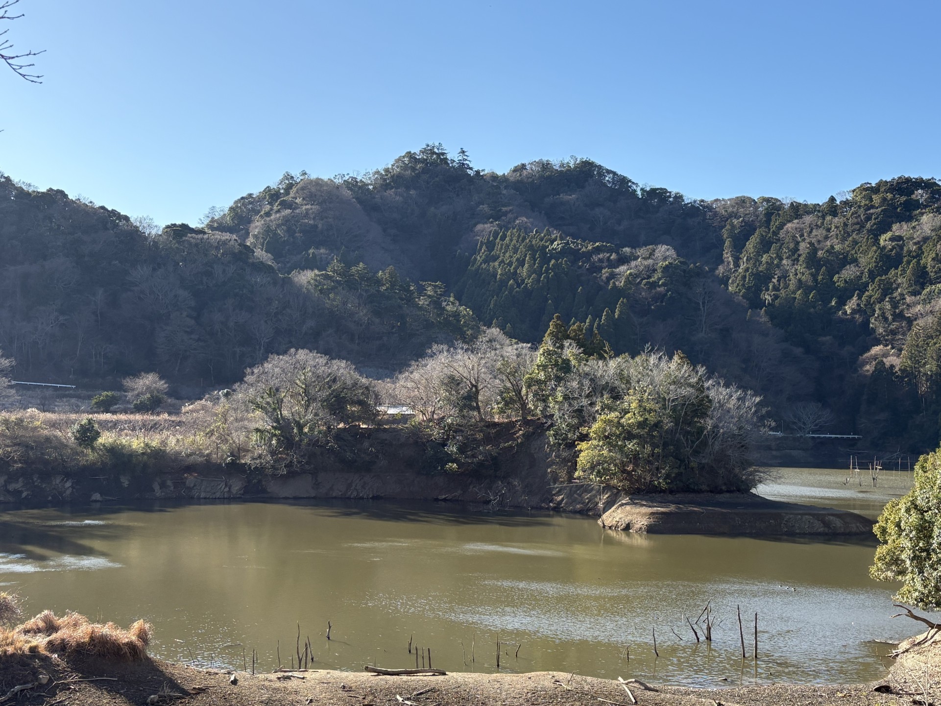 戸面原ダム 戸面原ダムボートセンターの2026年1月10日のイメージ