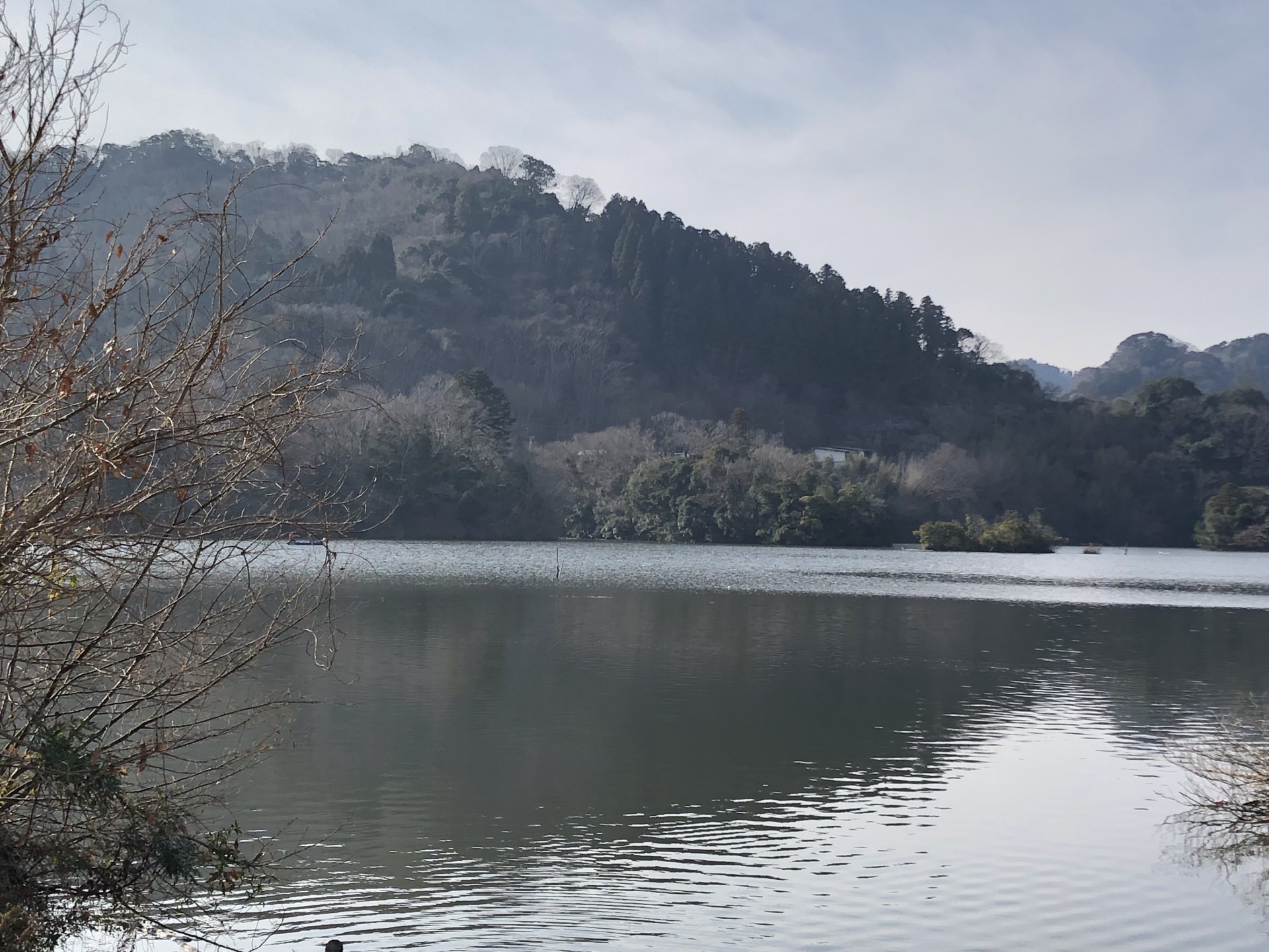 戸面原ダム 戸面原ダムボートセンターの2025年1月24日のイメージ