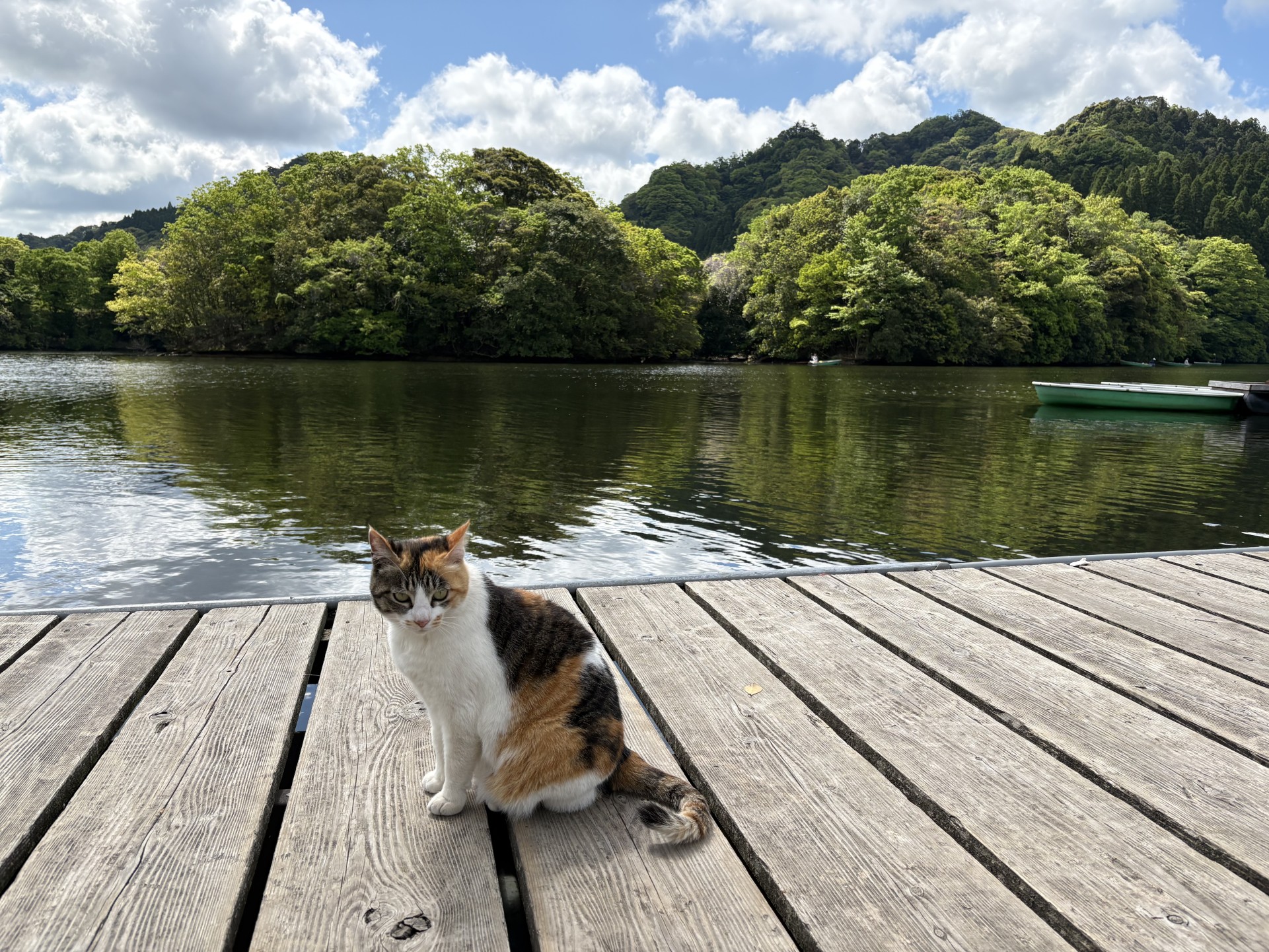 戸面原ダム 戸面原ダムボートセンターの2025年4月29日のイメージ