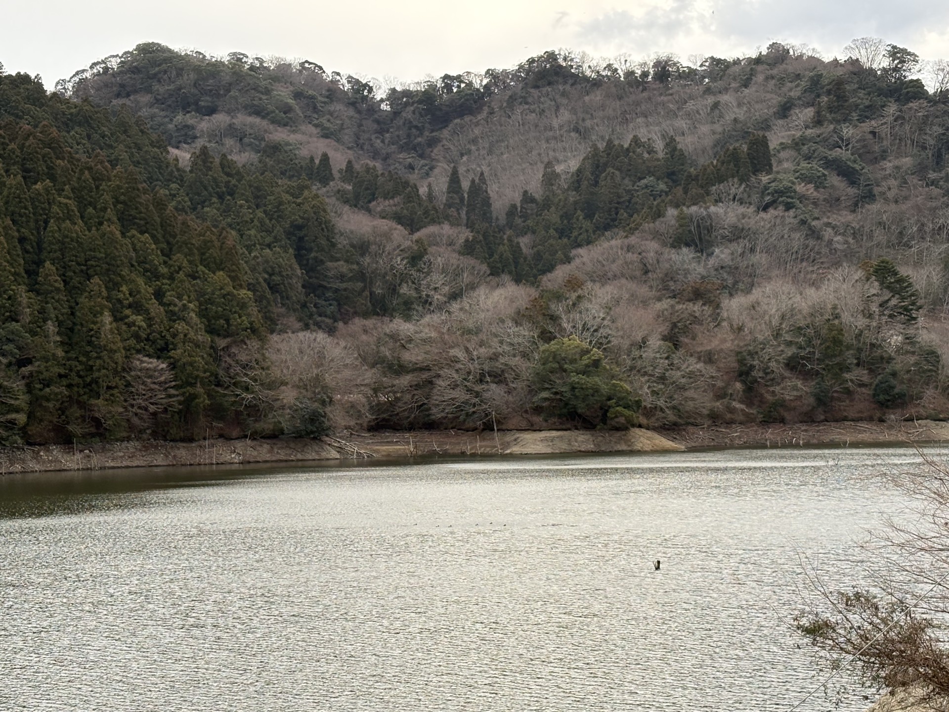 戸面原ダム 戸面原ダムボートセンターの2026年2月10日のイメージ