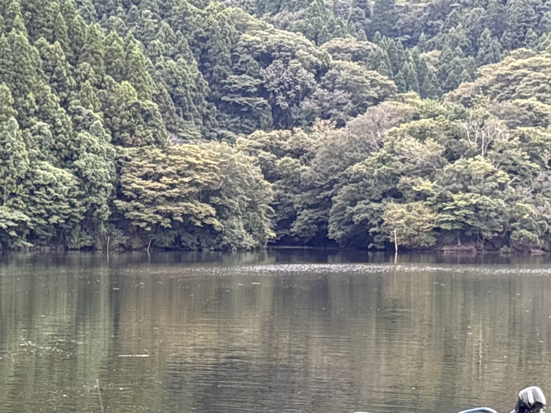 戸面原ダム 戸面原ダムボートセンターの2025年10月3日のイメージ