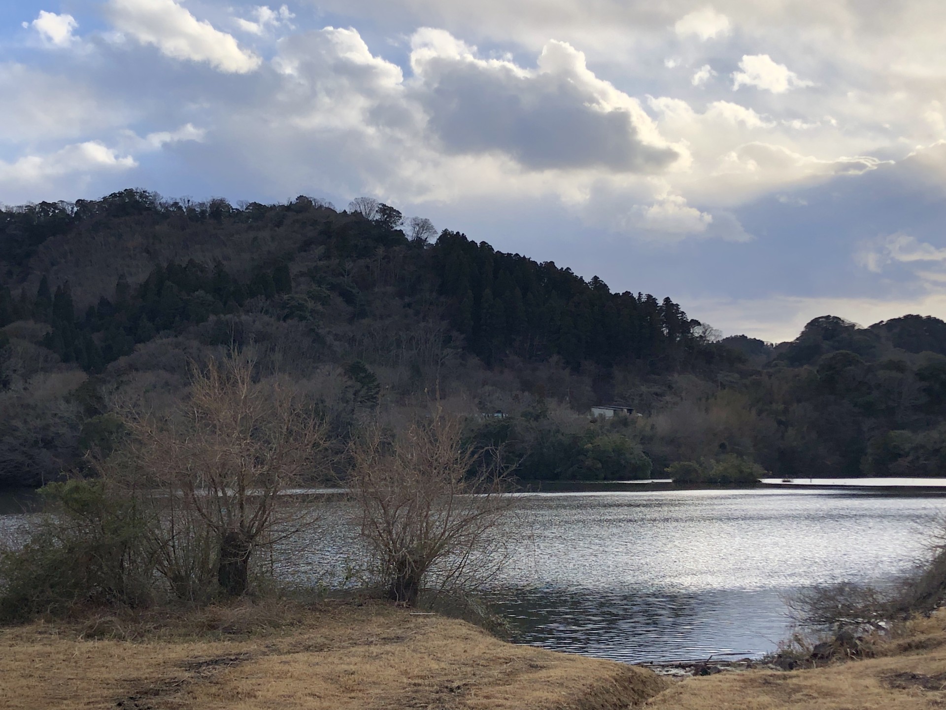 戸面原ダム 戸面原ダムボートセンターの2025年2月8日のイメージ