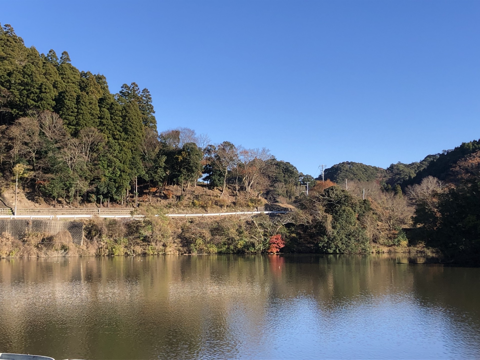 戸面原ダム 戸面原ダムボートセンターの2024年12月23日のイメージ