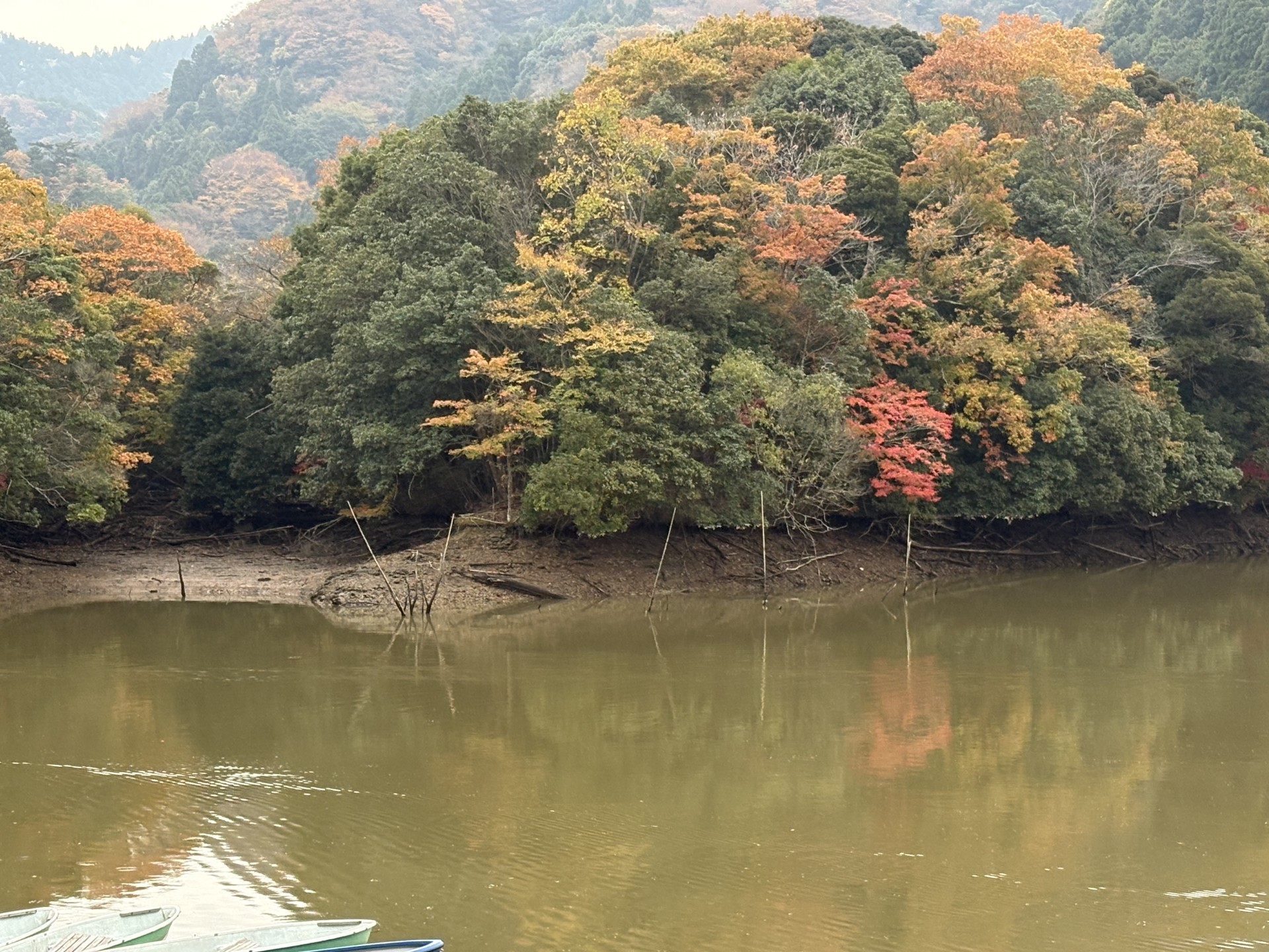 戸面原ダム 戸面原ダムボートセンターの2025年11月25日のイメージ