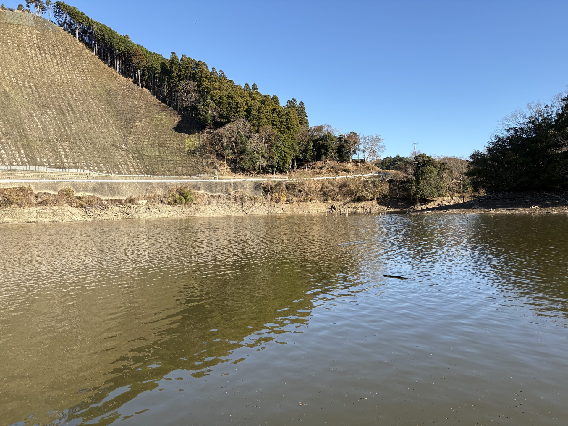 戸面原ダム 戸面原ダムボートセンターの2025年12月29日のイメージ