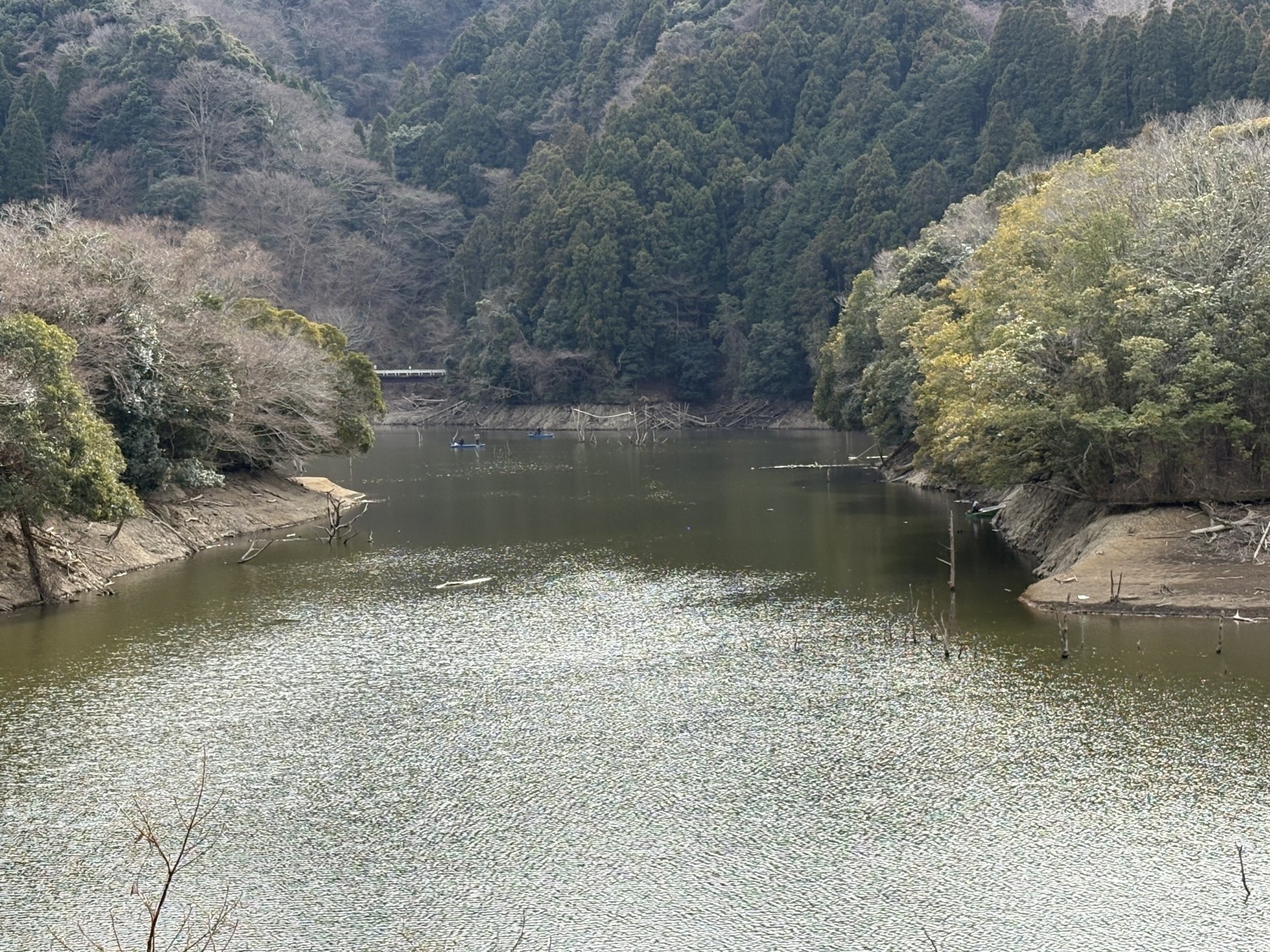 戸面原ダム 戸面原ダムボートセンターの2026年1月28日のイメージ