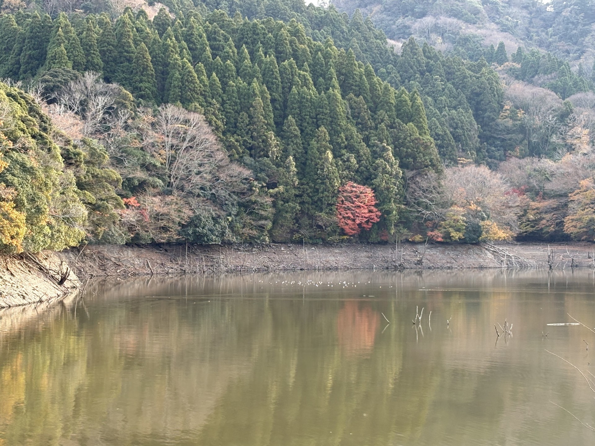 戸面原ダム 戸面原ダムボートセンターの2025年12月10日のイメージ
