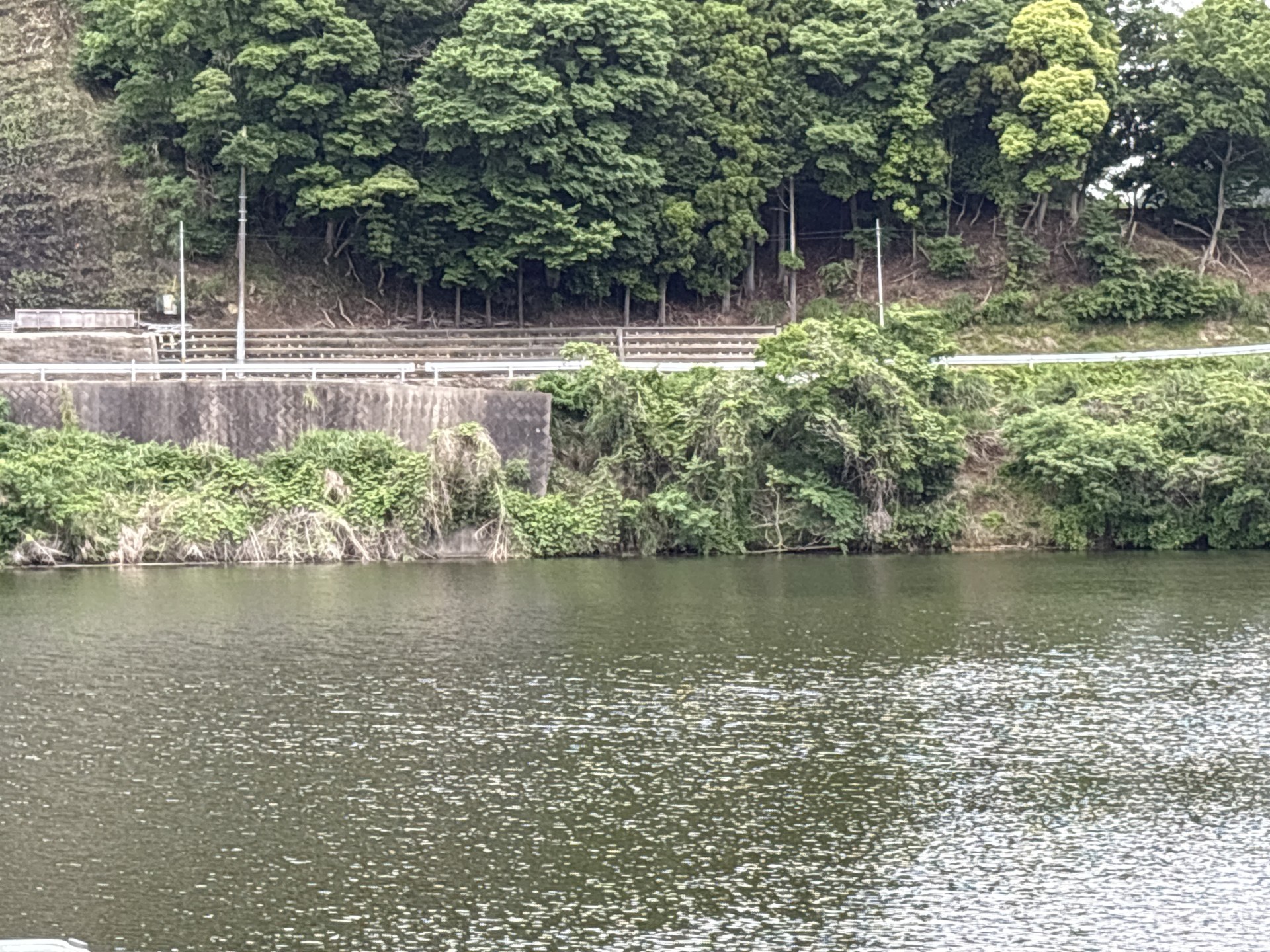 戸面原ダム 戸面原ダムボートセンターの2025年5月19日のイメージ