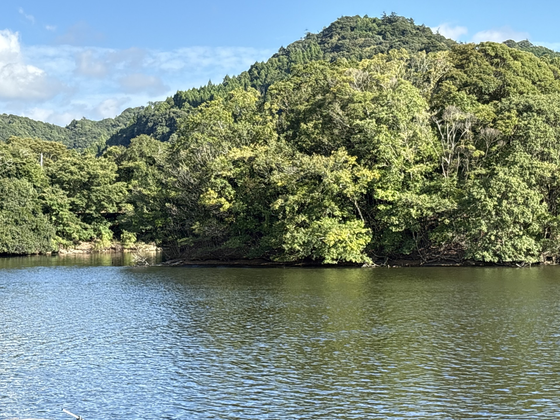 戸面原ダム 戸面原ダムボートセンターの2025年9月11日のイメージ