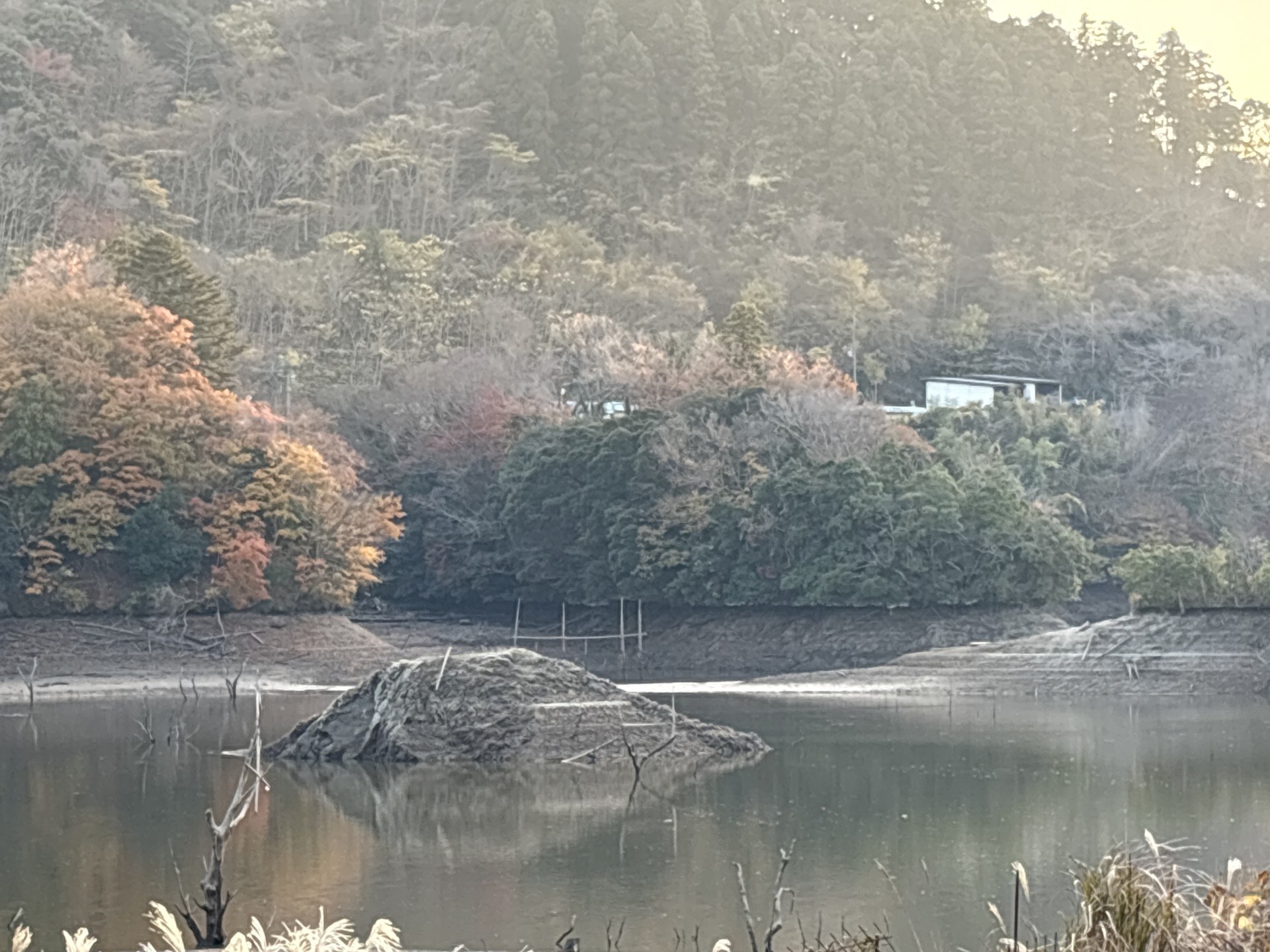 戸面原ダム 戸面原ダムボートセンターの2025年12月2日のイメージ