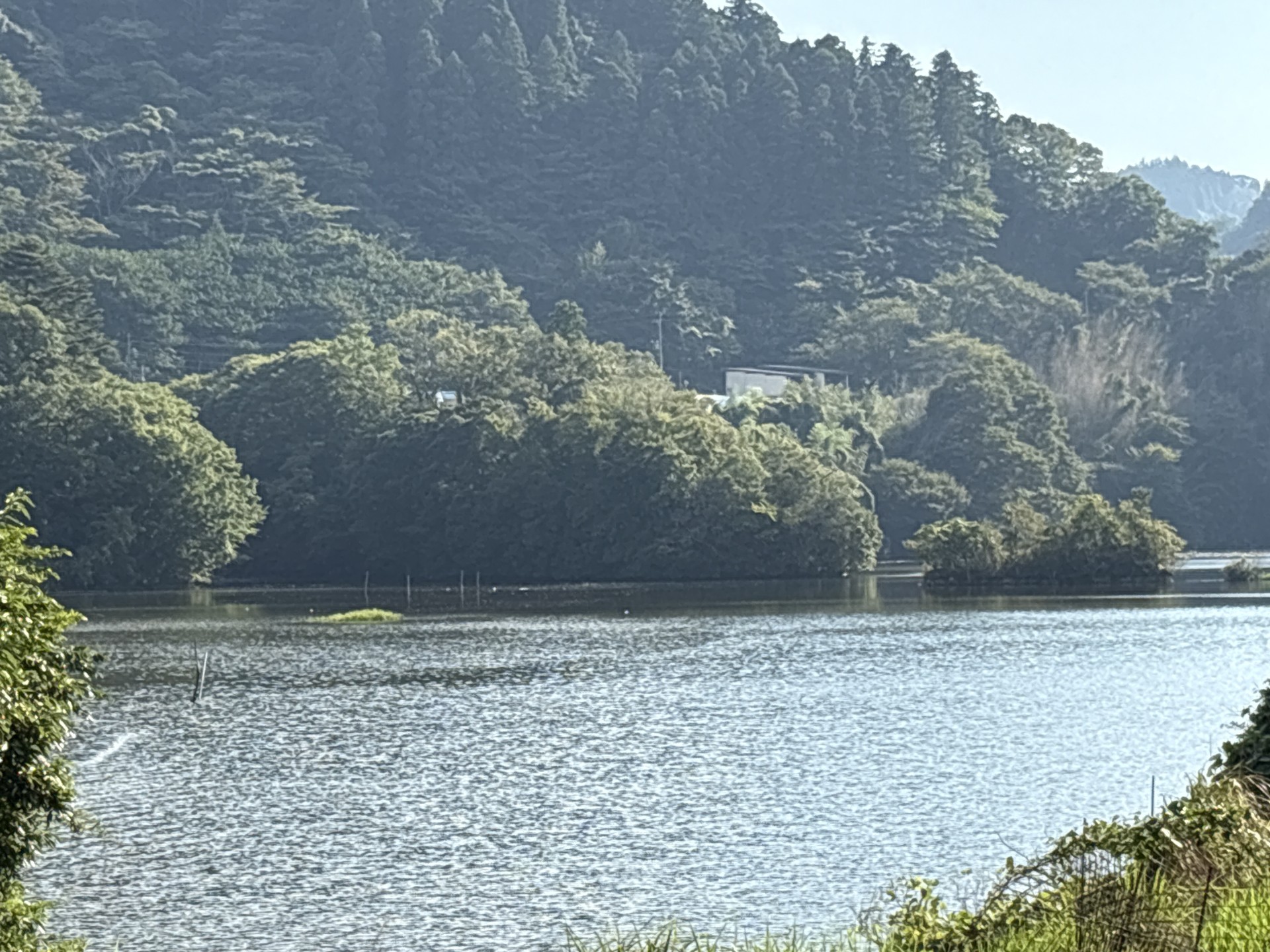 戸面原ダム 戸面原ダムボートセンターの2025年9月8日のイメージ