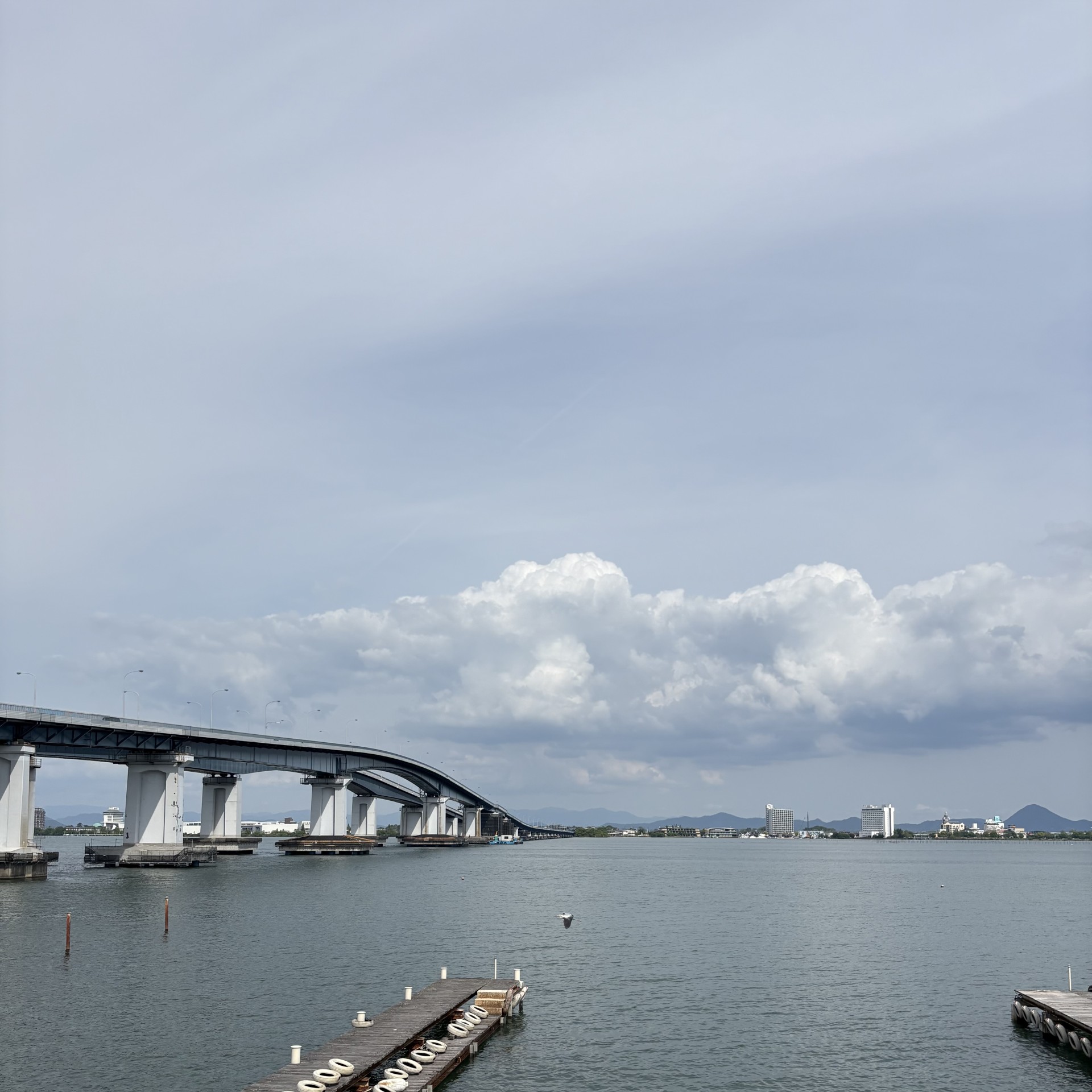 琵琶湖 大橋マリーナの2026年5月12日のイメージ