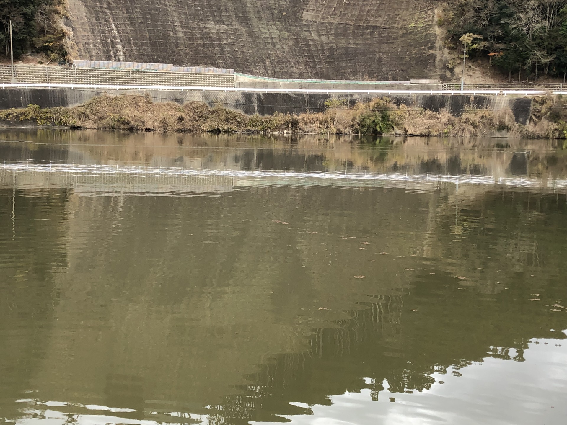 戸面原ダム 戸面原ダムボートセンターの2024年12月25日のイメージ