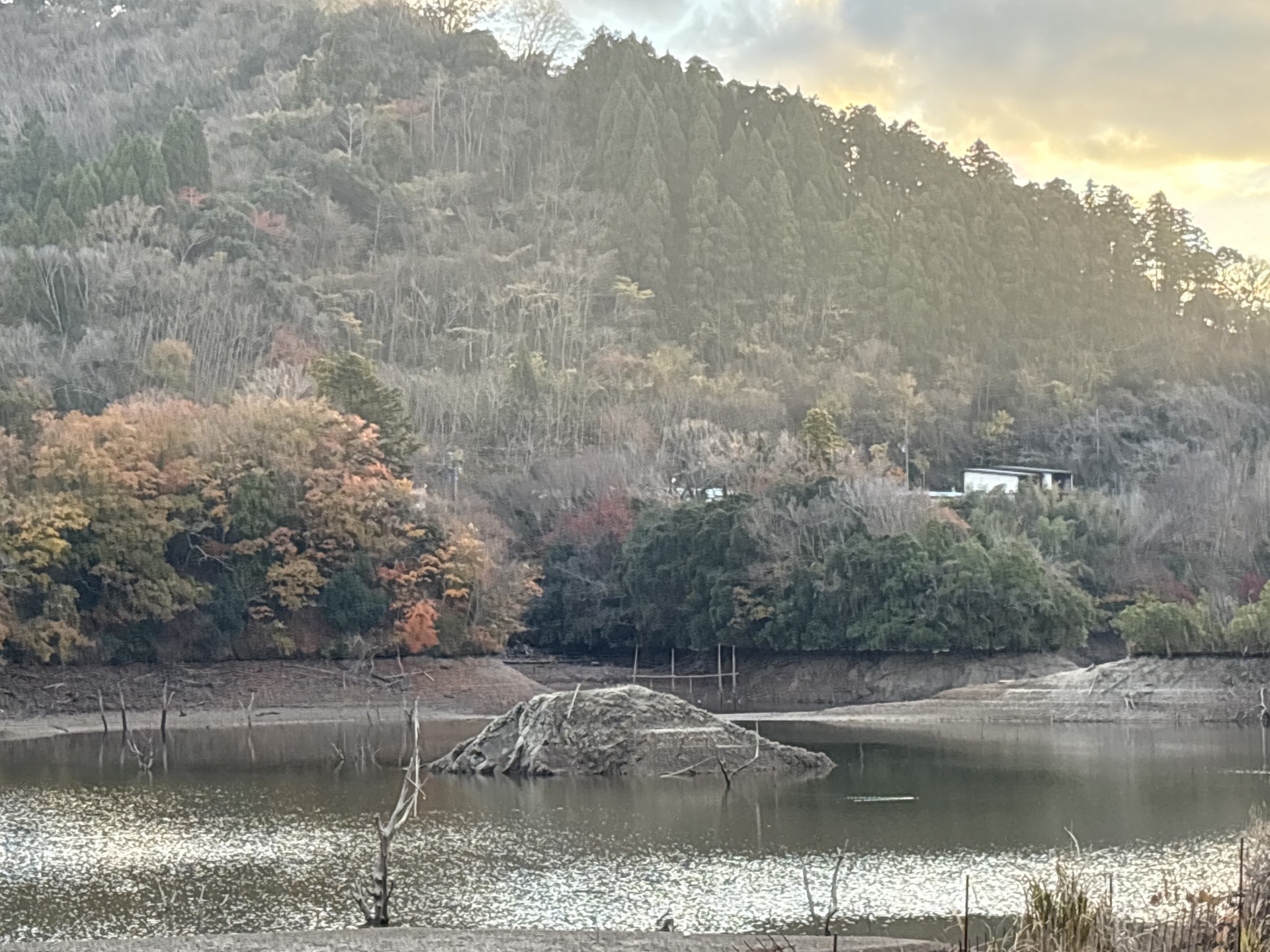 戸面原ダム 戸面原ダムボートセンターの2025年12月6日のイメージ