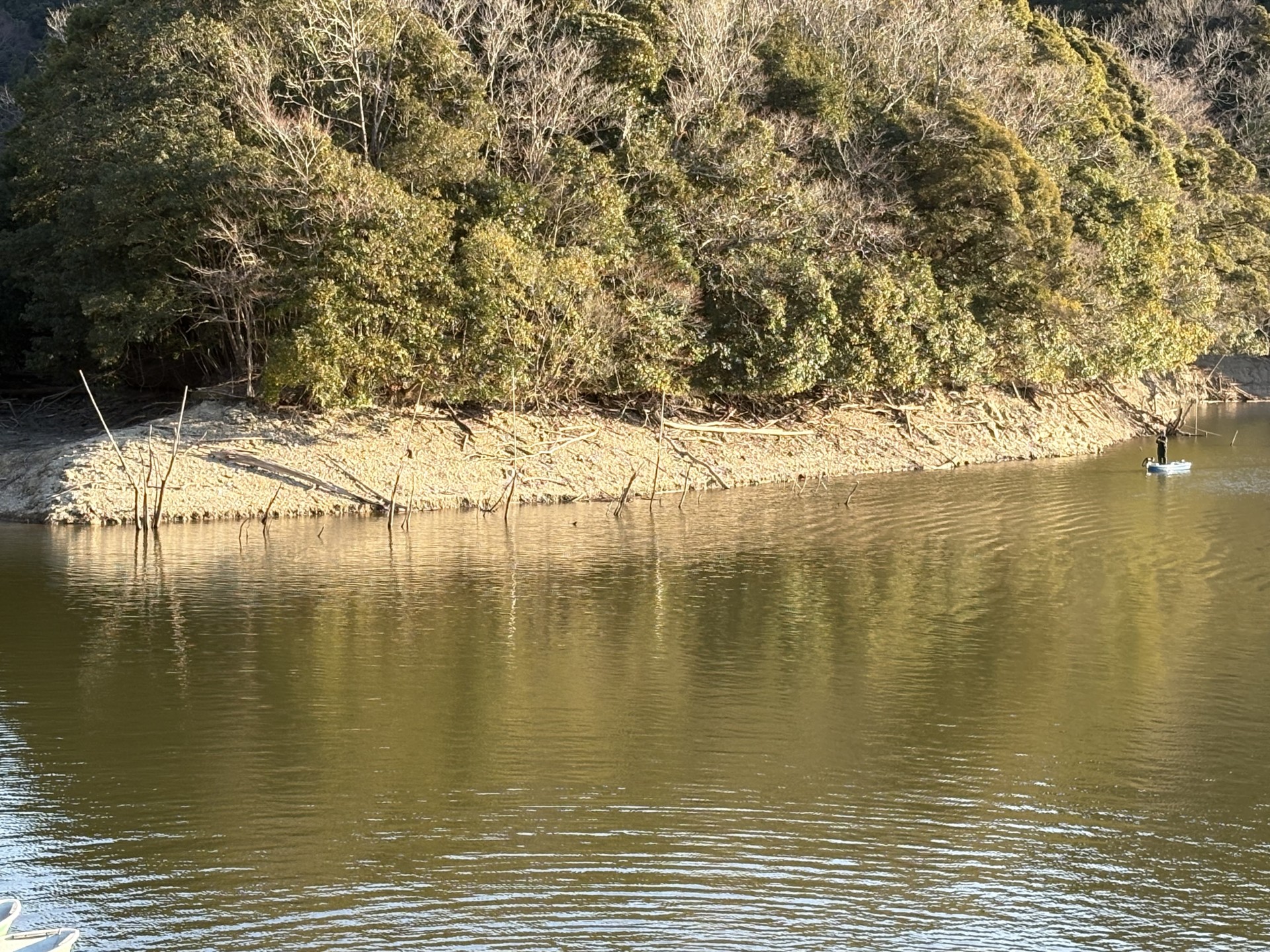 戸面原ダム 戸面原ダムボートセンターの2026年2月1日のイメージ