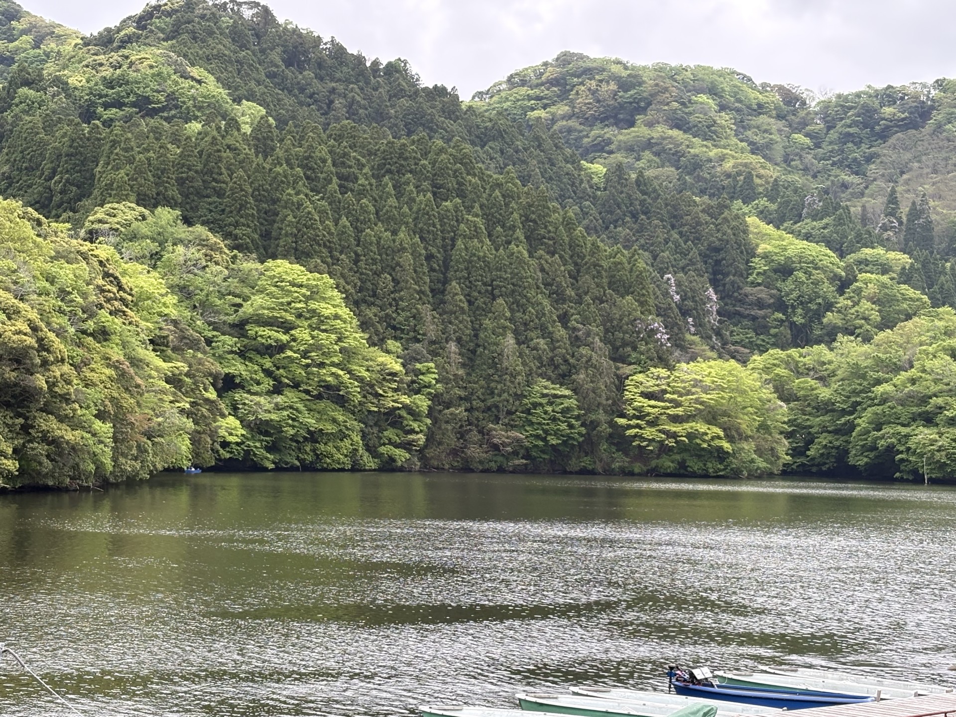 戸面原ダム 戸面原ダムボートセンターの2025年4月28日のイメージ