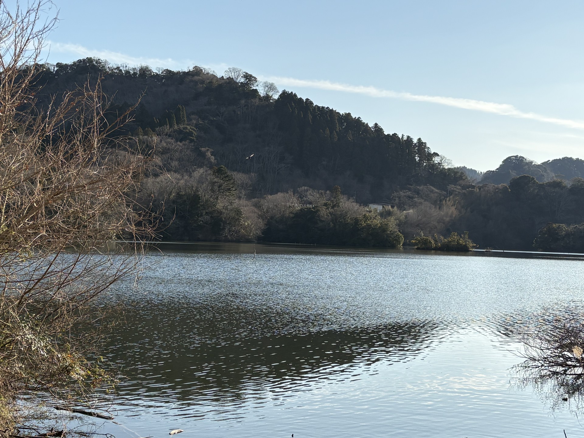 戸面原ダム 戸面原ダムボートセンターの2025年3月10日のイメージ