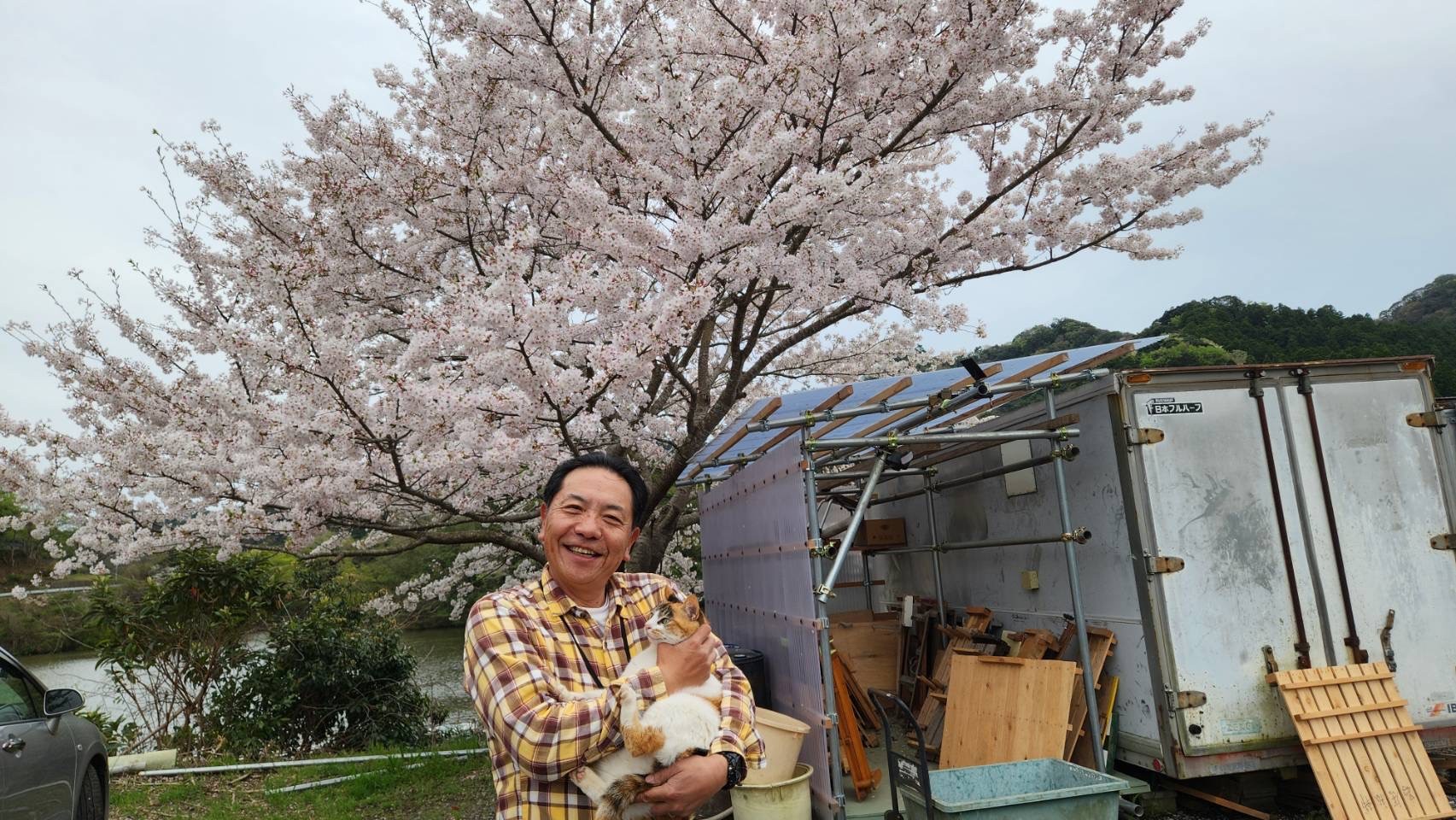 戸面原ダム 戸面原ダムボートセンターの2026年4月5日のイメージ