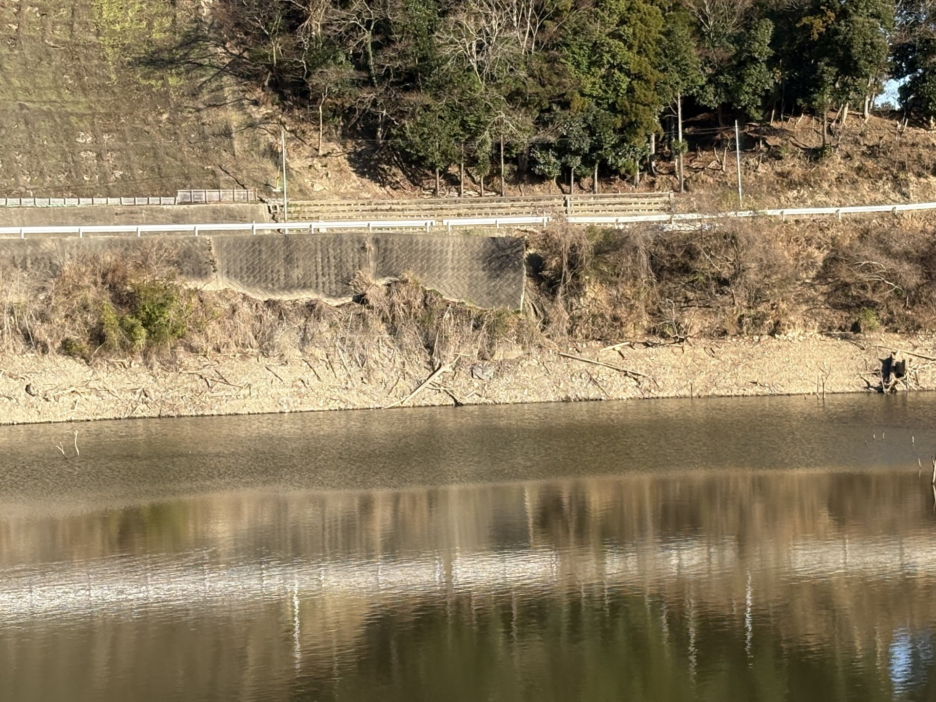 戸面原ダム 戸面原ダムボートセンターの2026年1月6日のイメージ