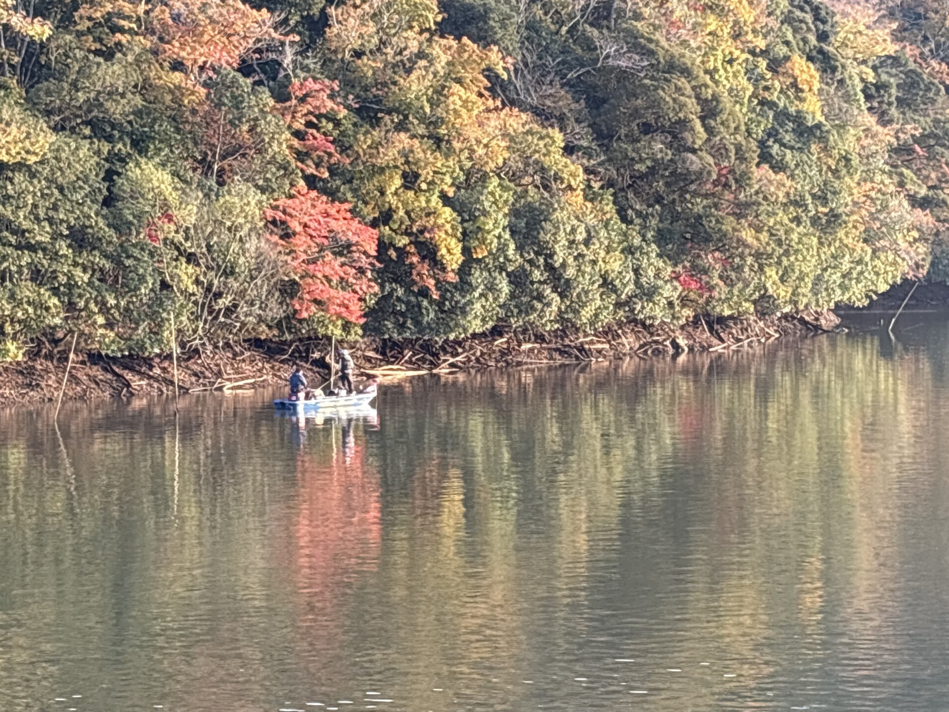 戸面原ダム 戸面原ダムボートセンターの2025年11月23日のイメージ