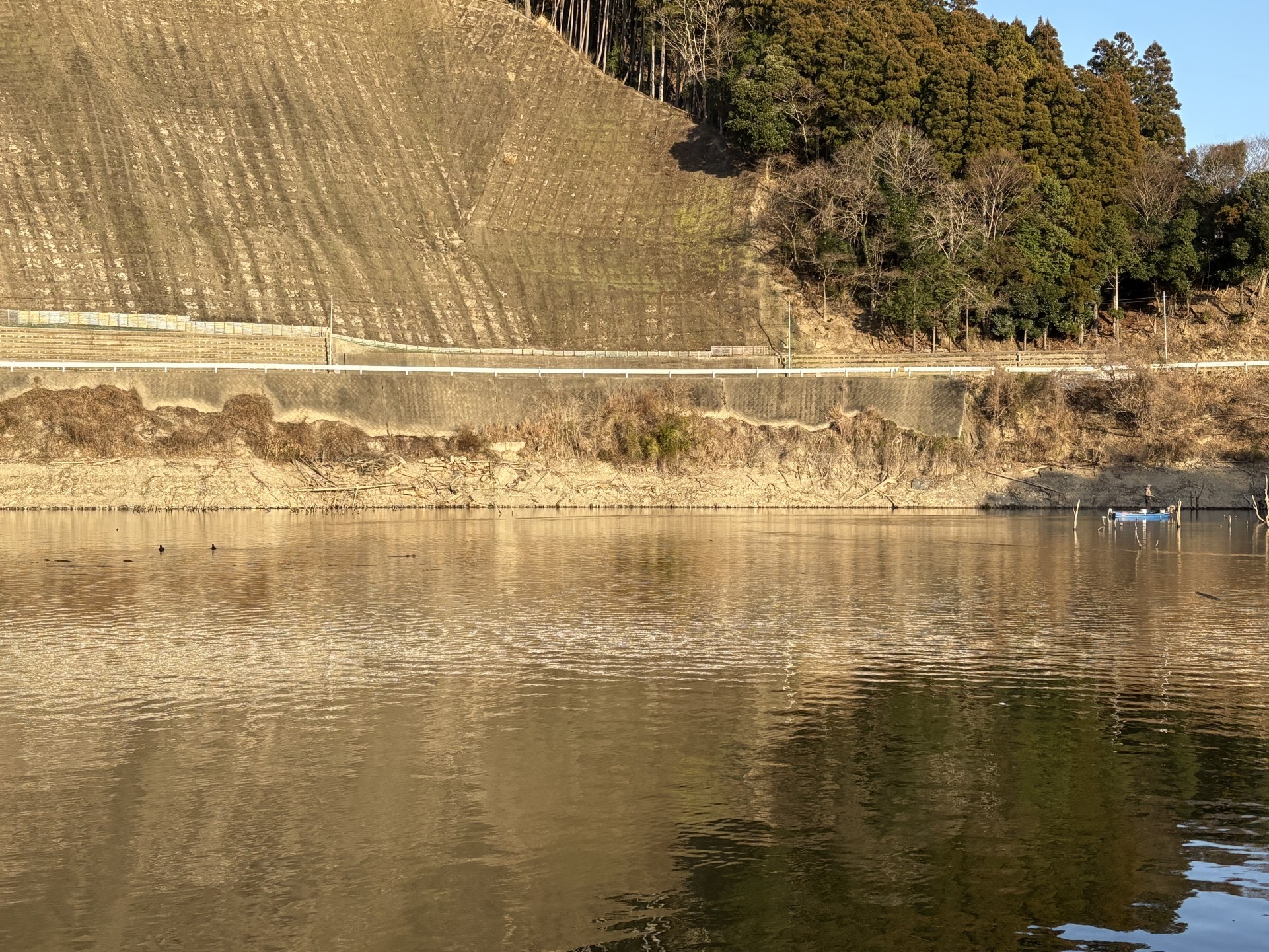 戸面原ダム 戸面原ダムボートセンターの2026年1月17日のイメージ