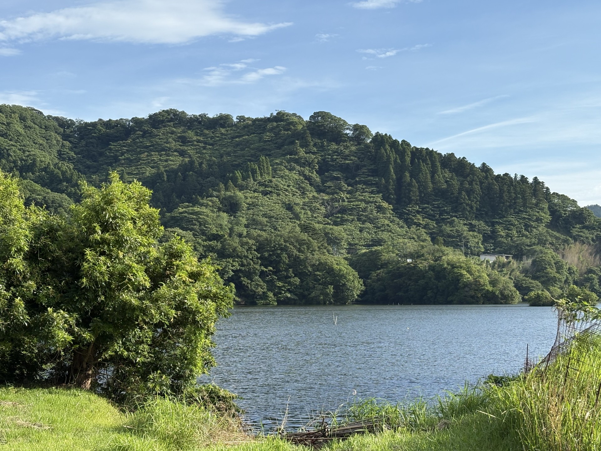 戸面原ダム 戸面原ダムボートセンターの2025年6月16日のイメージ