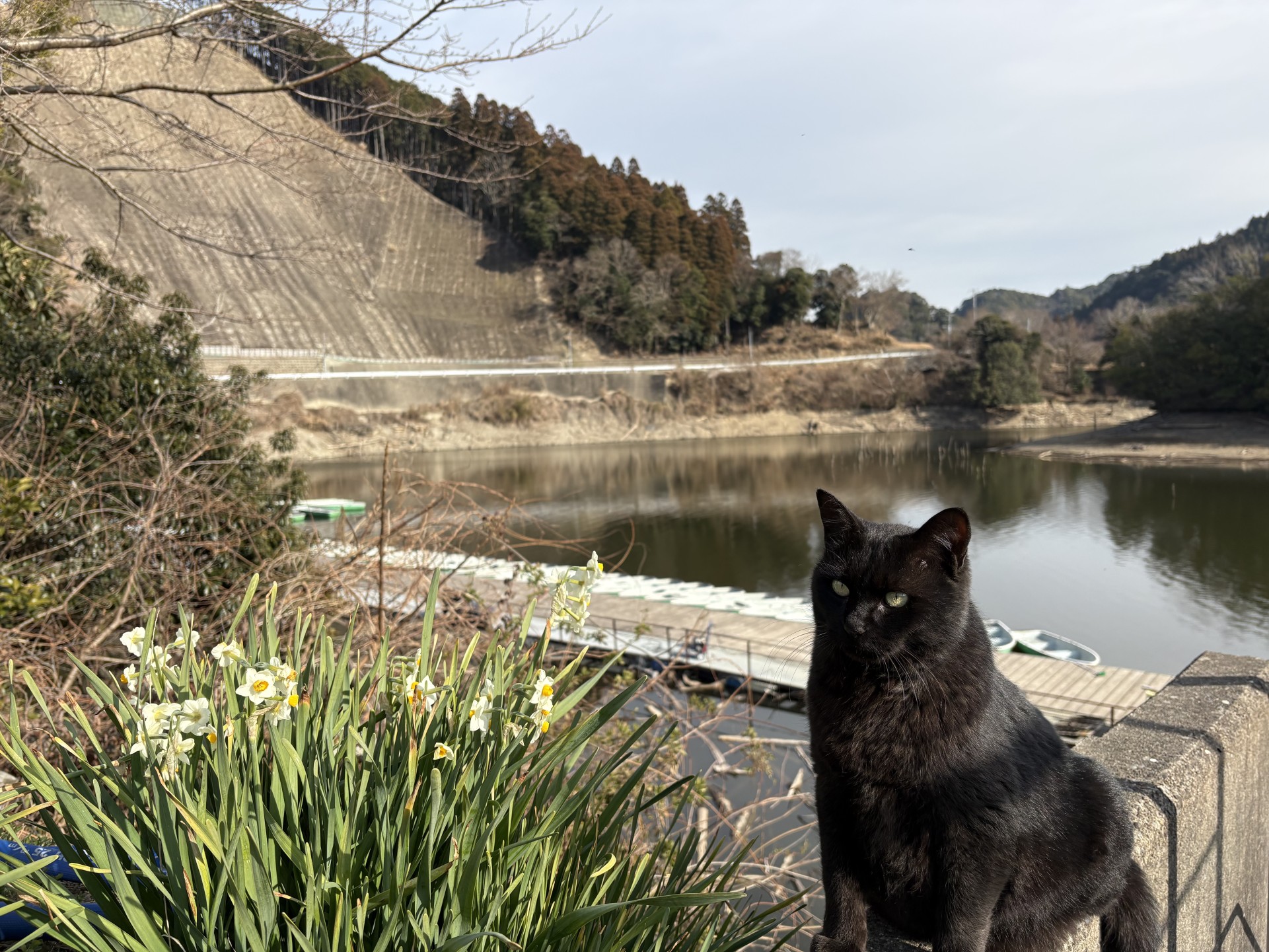 戸面原ダム 戸面原ダムボートセンターの2026年2月6日のイメージ