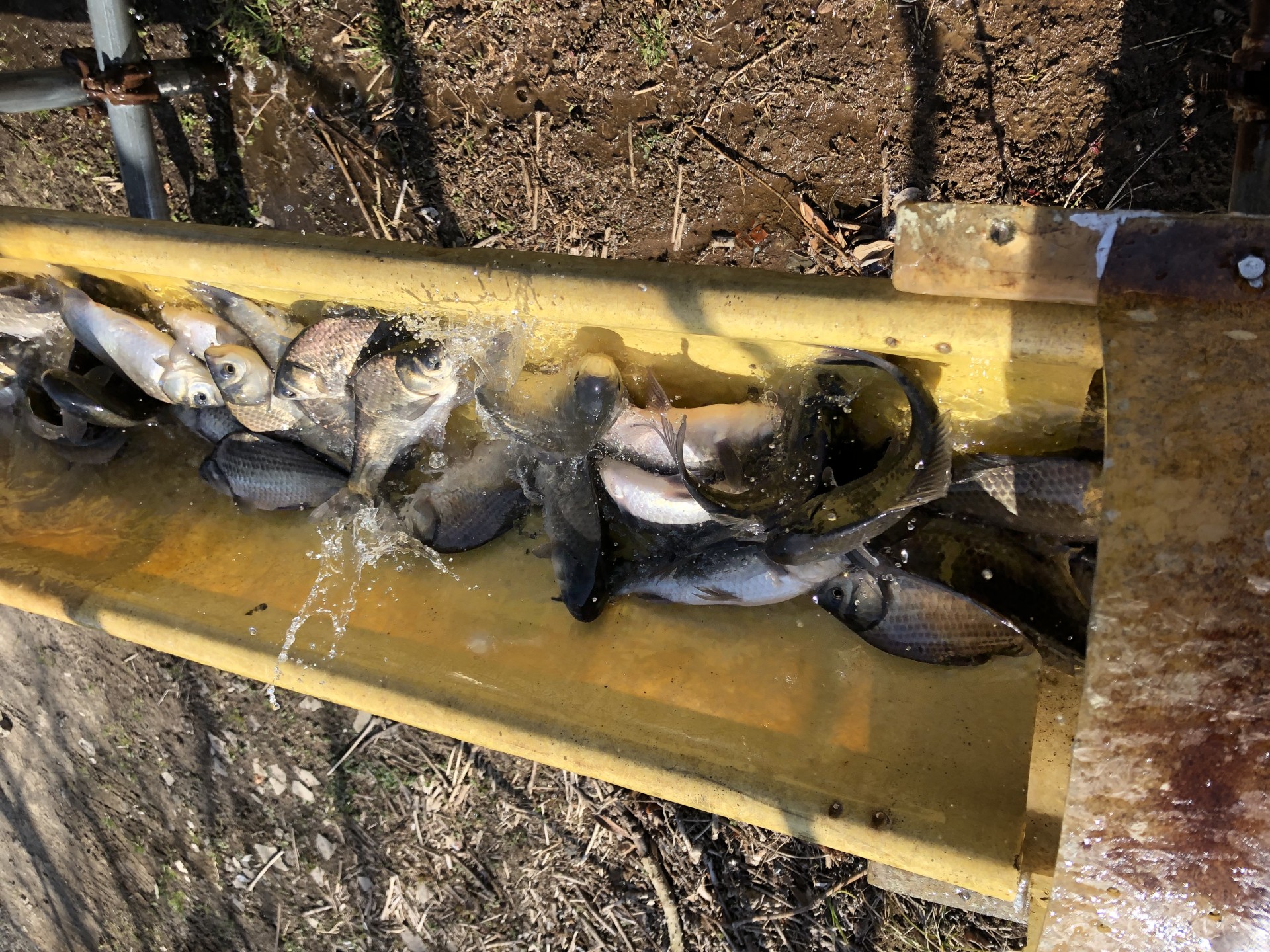 戸面原ダム 戸面原ダムボートセンターの2025年2月12日のイメージ