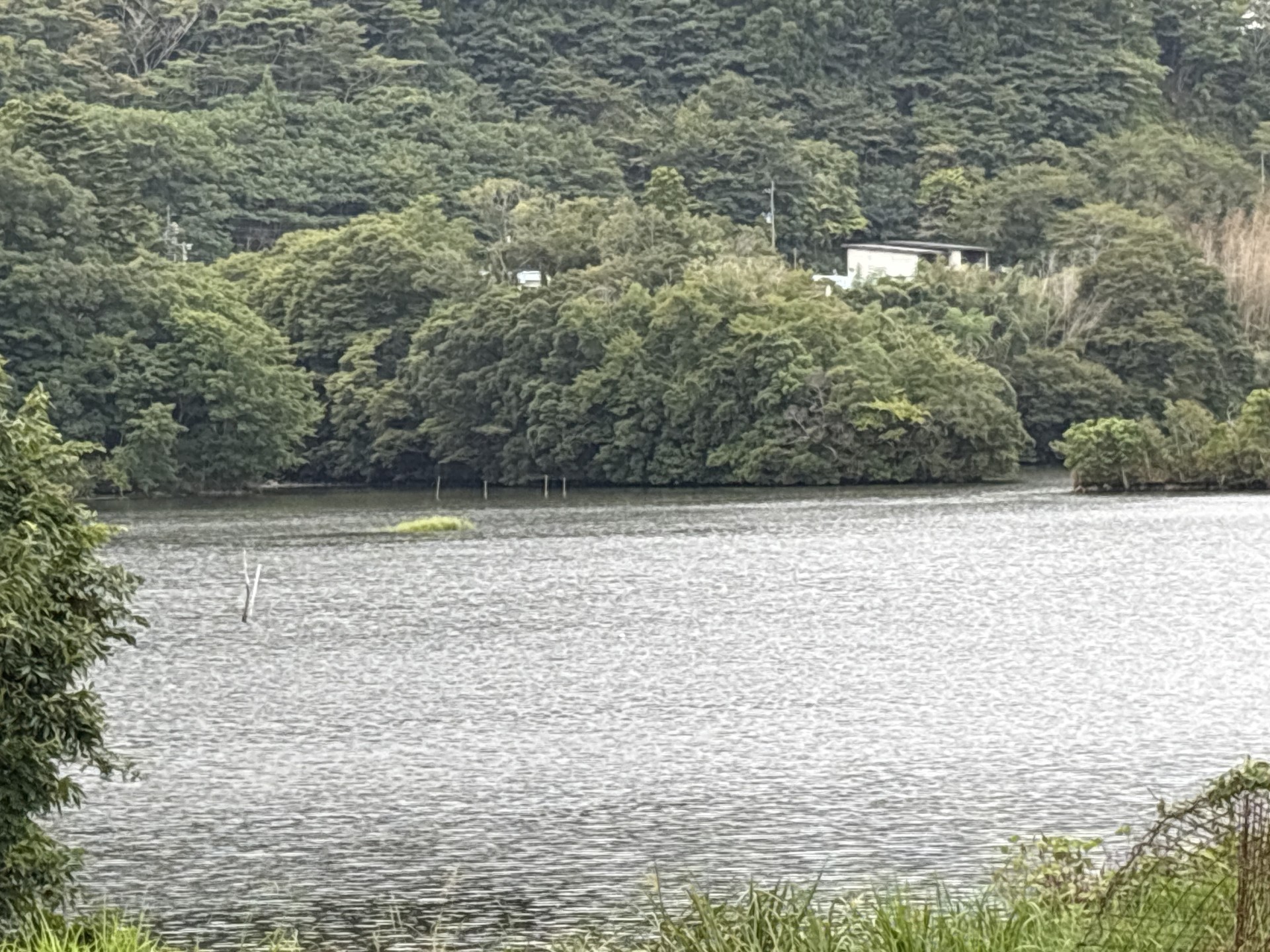 戸面原ダム 戸面原ダムボートセンターの2025年9月13日のイメージ