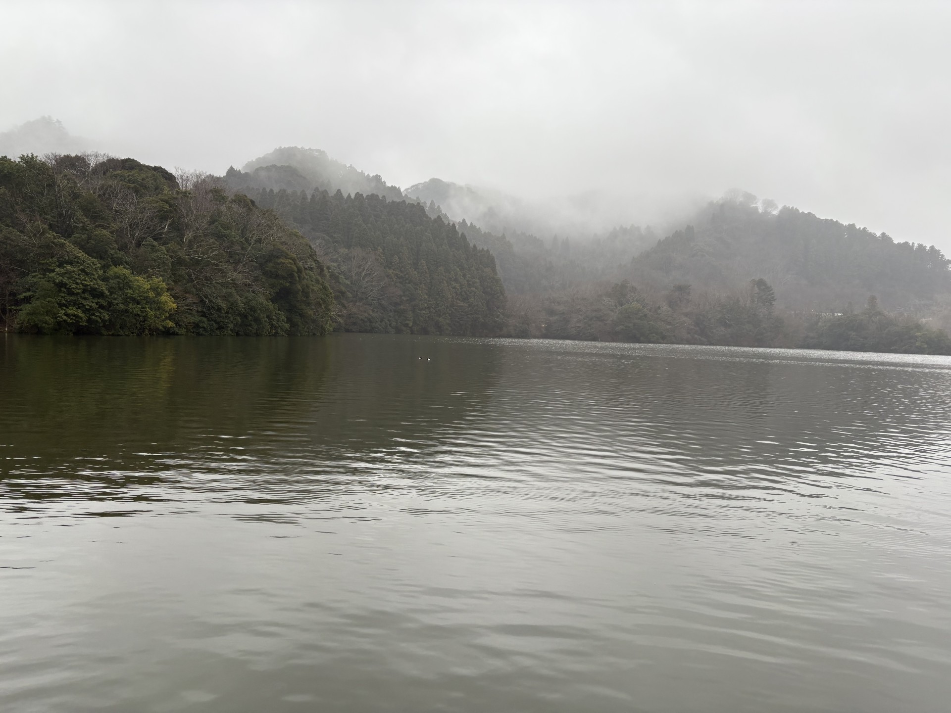 戸面原ダム 戸面原ダムボートセンターの2025年3月5日のイメージ