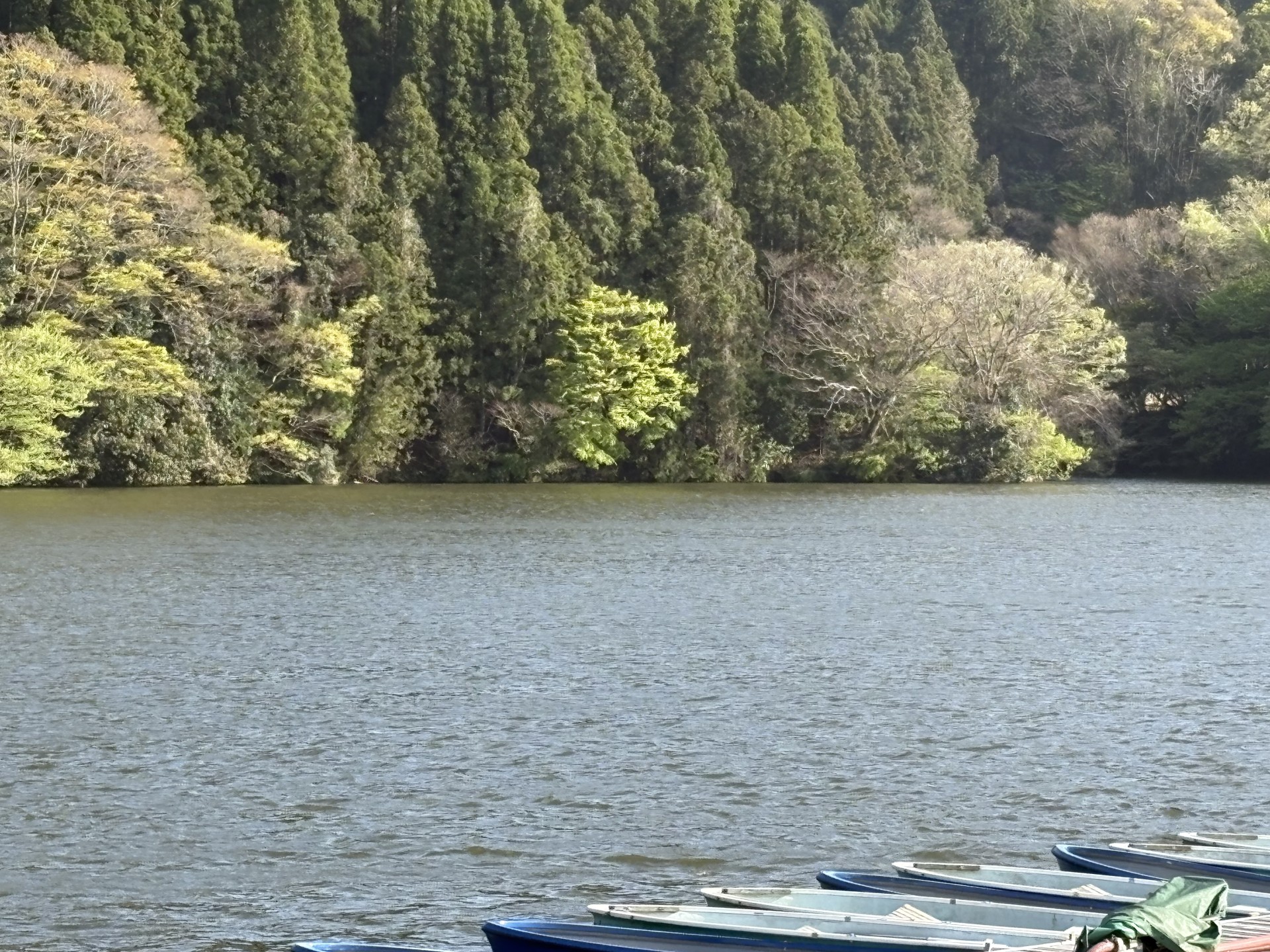 戸面原ダム 戸面原ダムボートセンターの2025年4月14日のイメージ