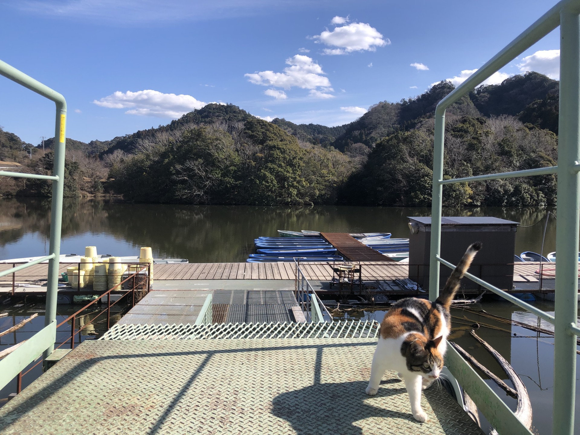 戸面原ダム 戸面原ダムボートセンターの2025年2月21日のイメージ