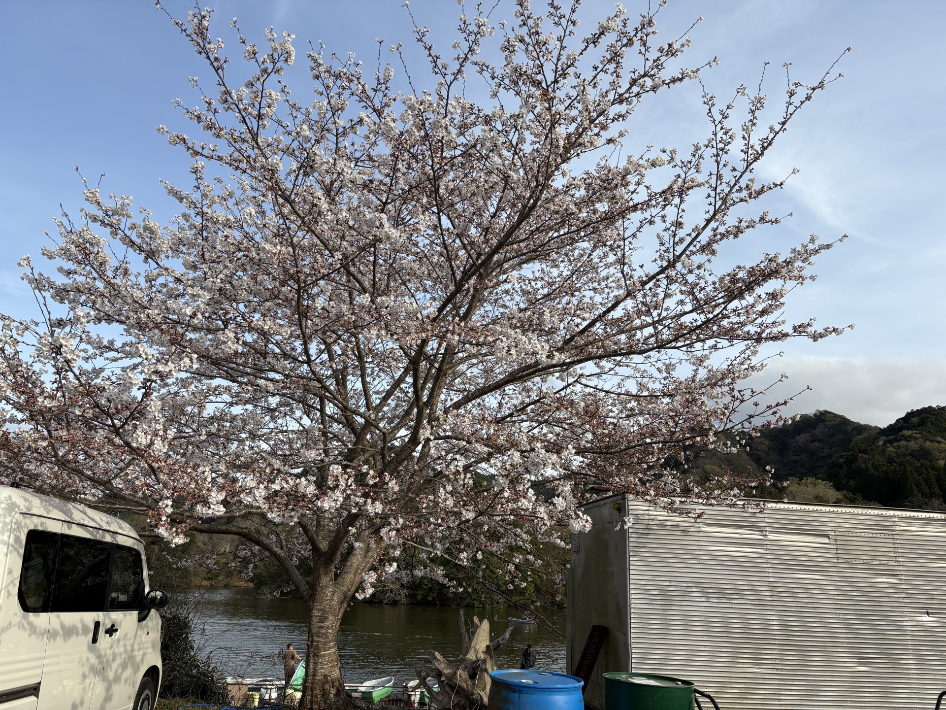 戸面原ダム 戸面原ダムボートセンターの2025年4月5日のイメージ