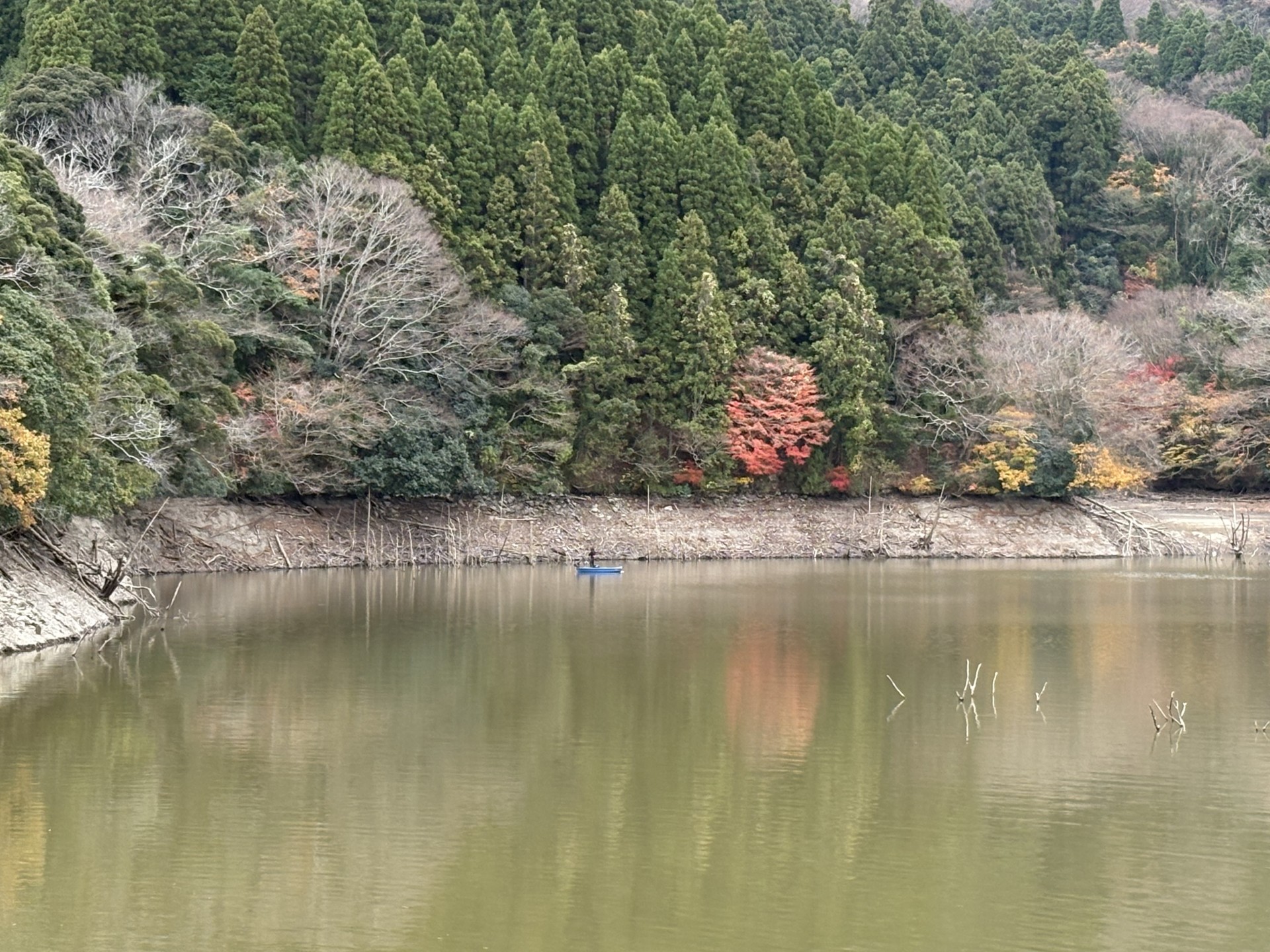 戸面原ダム 戸面原ダムボートセンターの2025年12月13日のイメージ