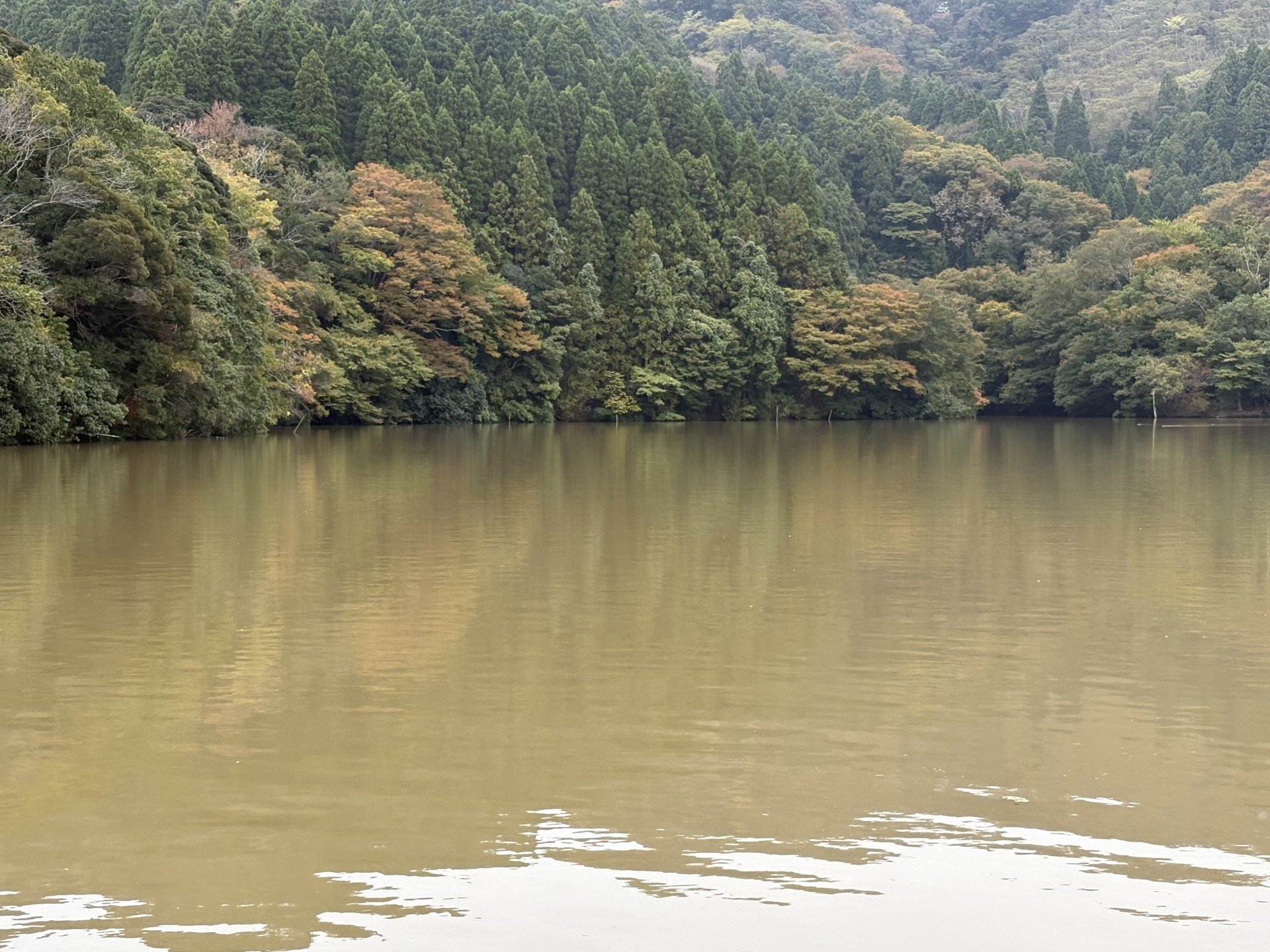 戸面原ダム 戸面原ダムボートセンターの2025年11月5日のイメージ