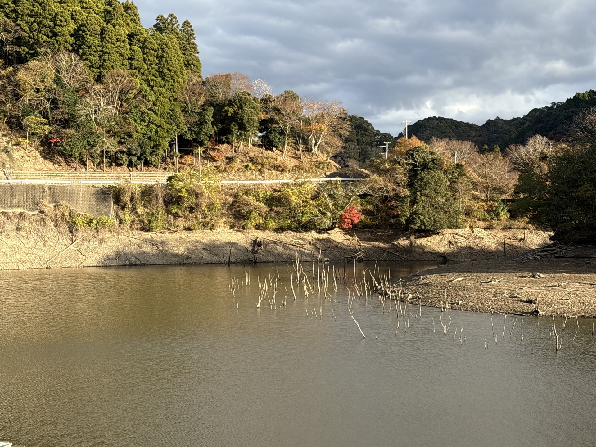 戸面原ダム 戸面原ダムボートセンターの2025年12月12日のイメージ